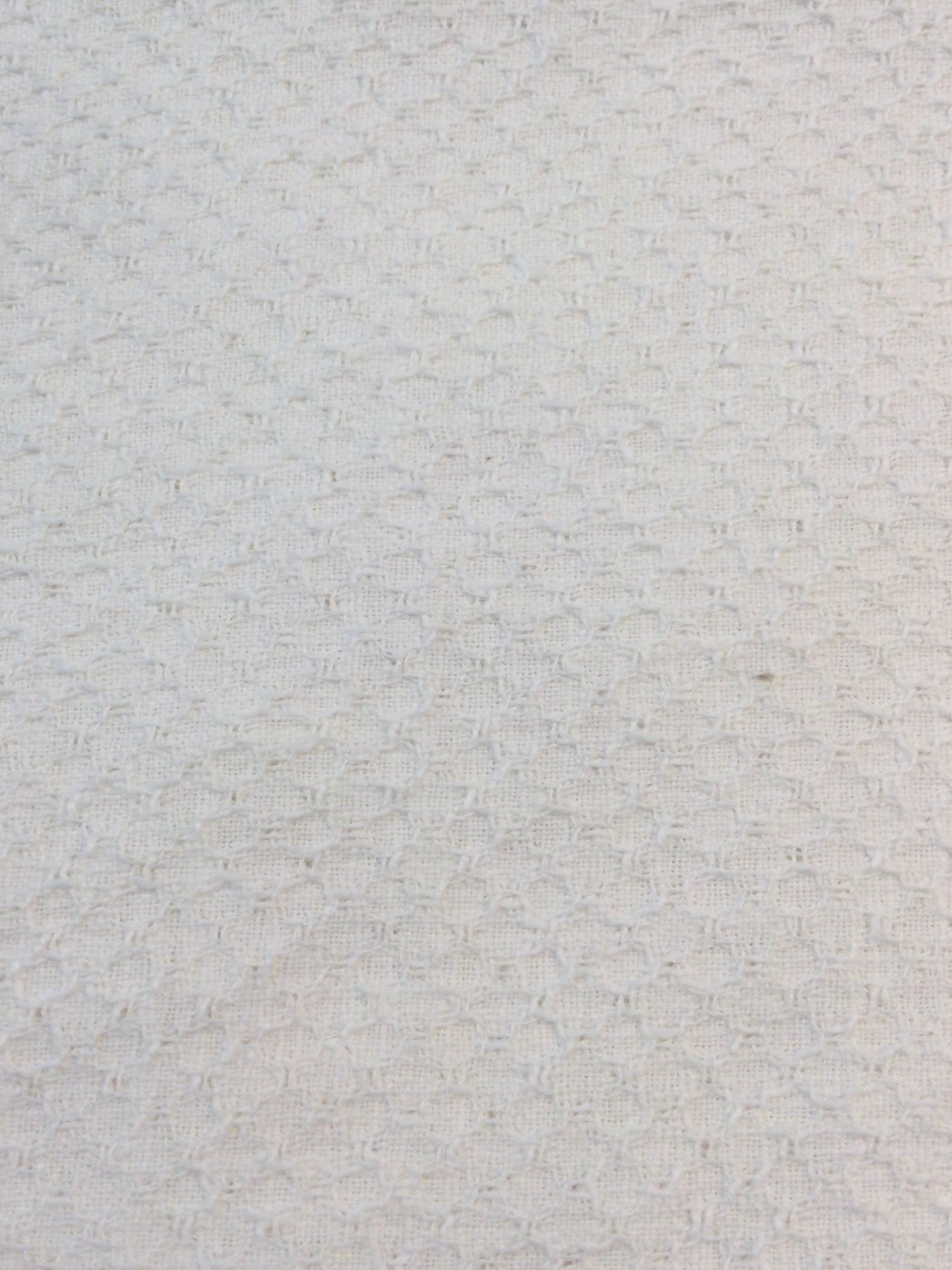 Cotton Brocade in Off-White