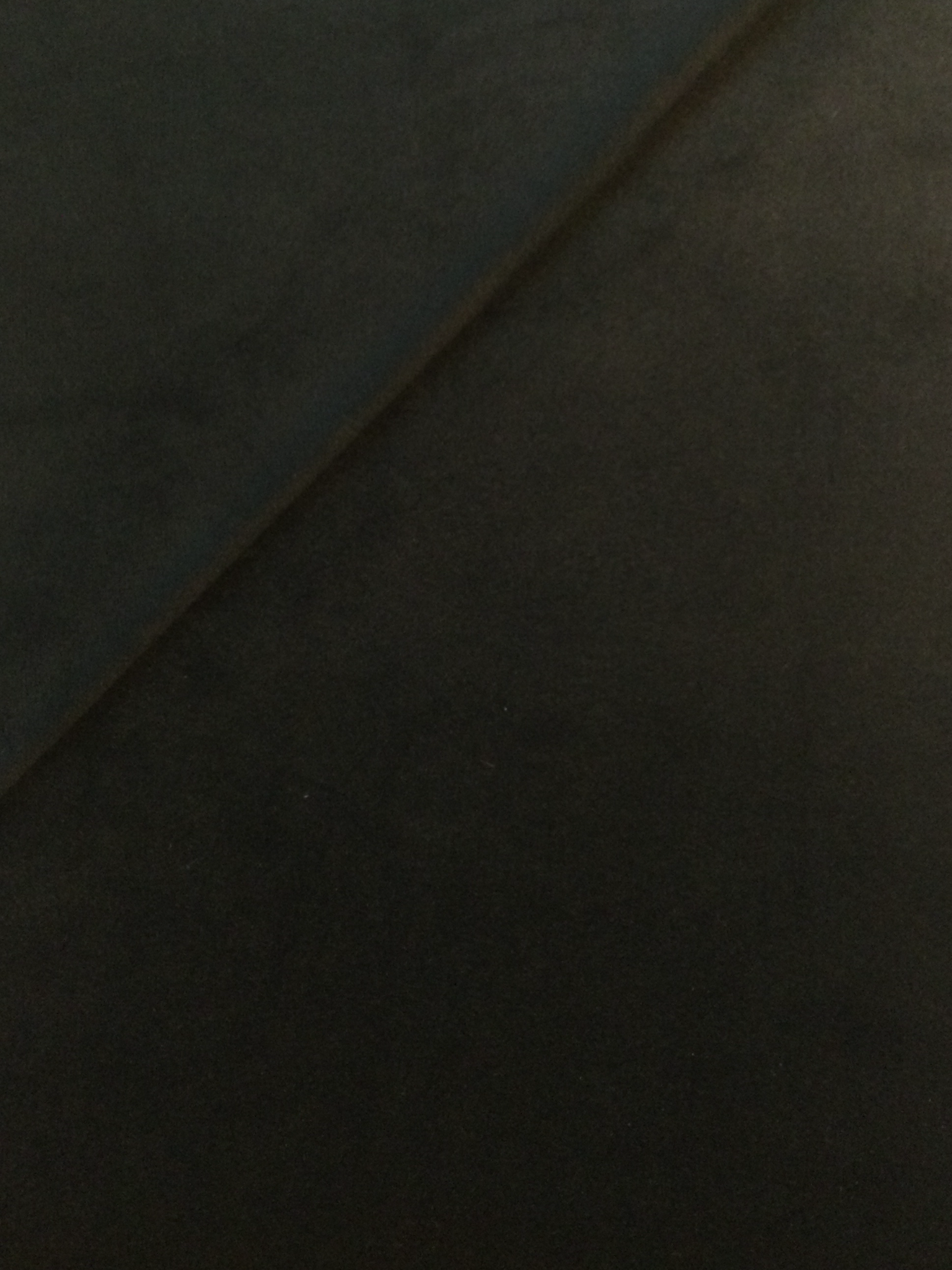 Polyester Velvet in Black