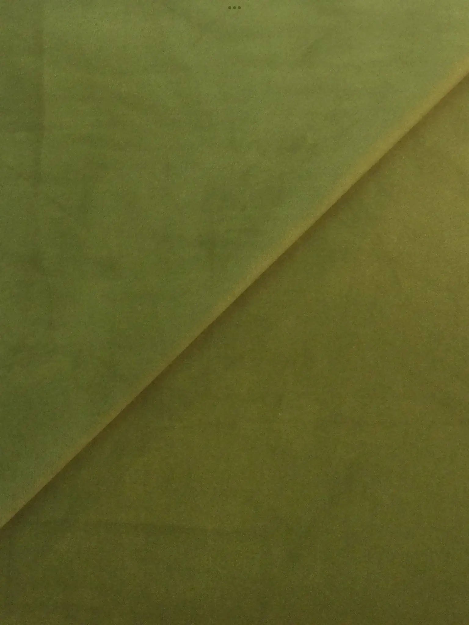 Polyester Velvet in Basil
