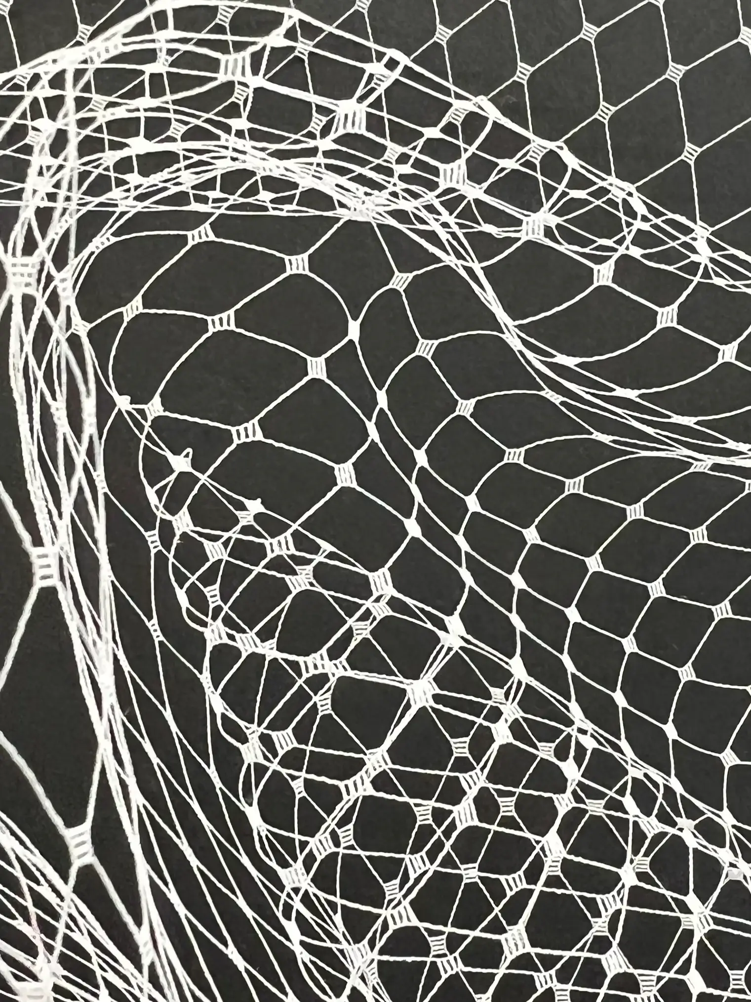 Nylon Birdcage Net in Optic White