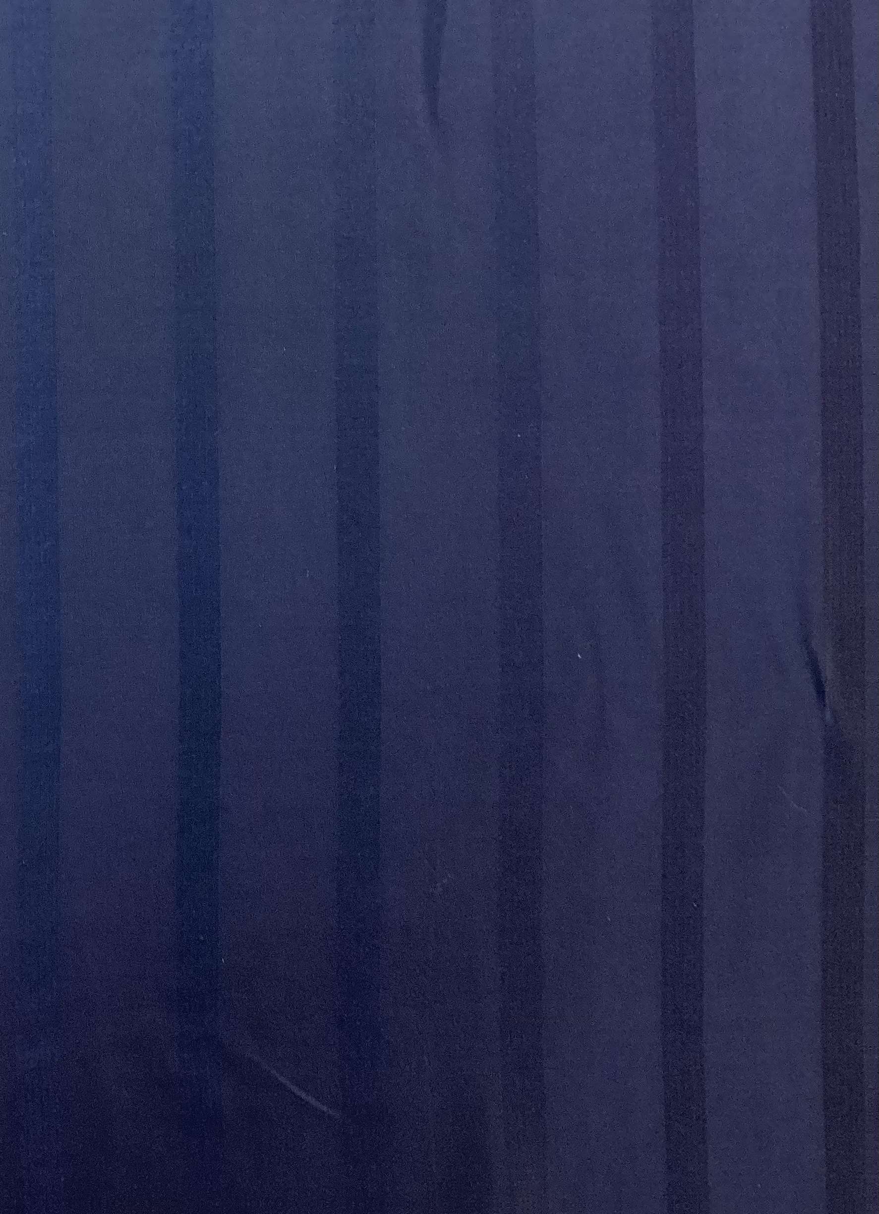 Made in Italy Pure Silk Wide Stripe Jacquard in Navy