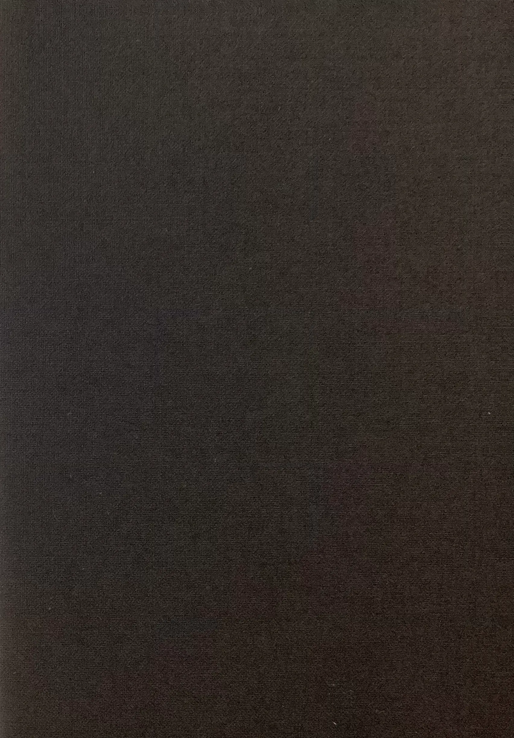 Wool Poplin in Black
