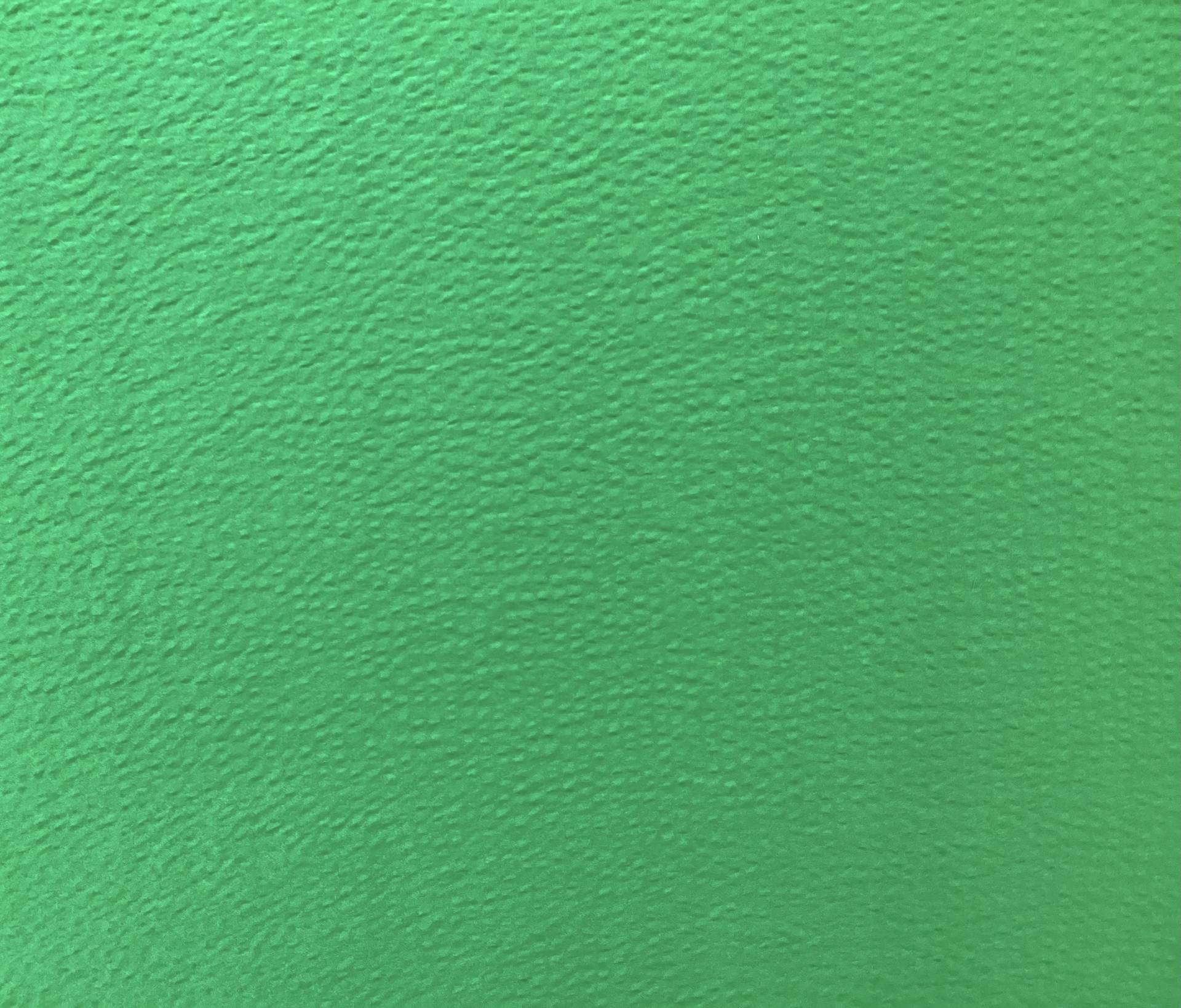 Hammer Silk Charmeuse in Emerald Green