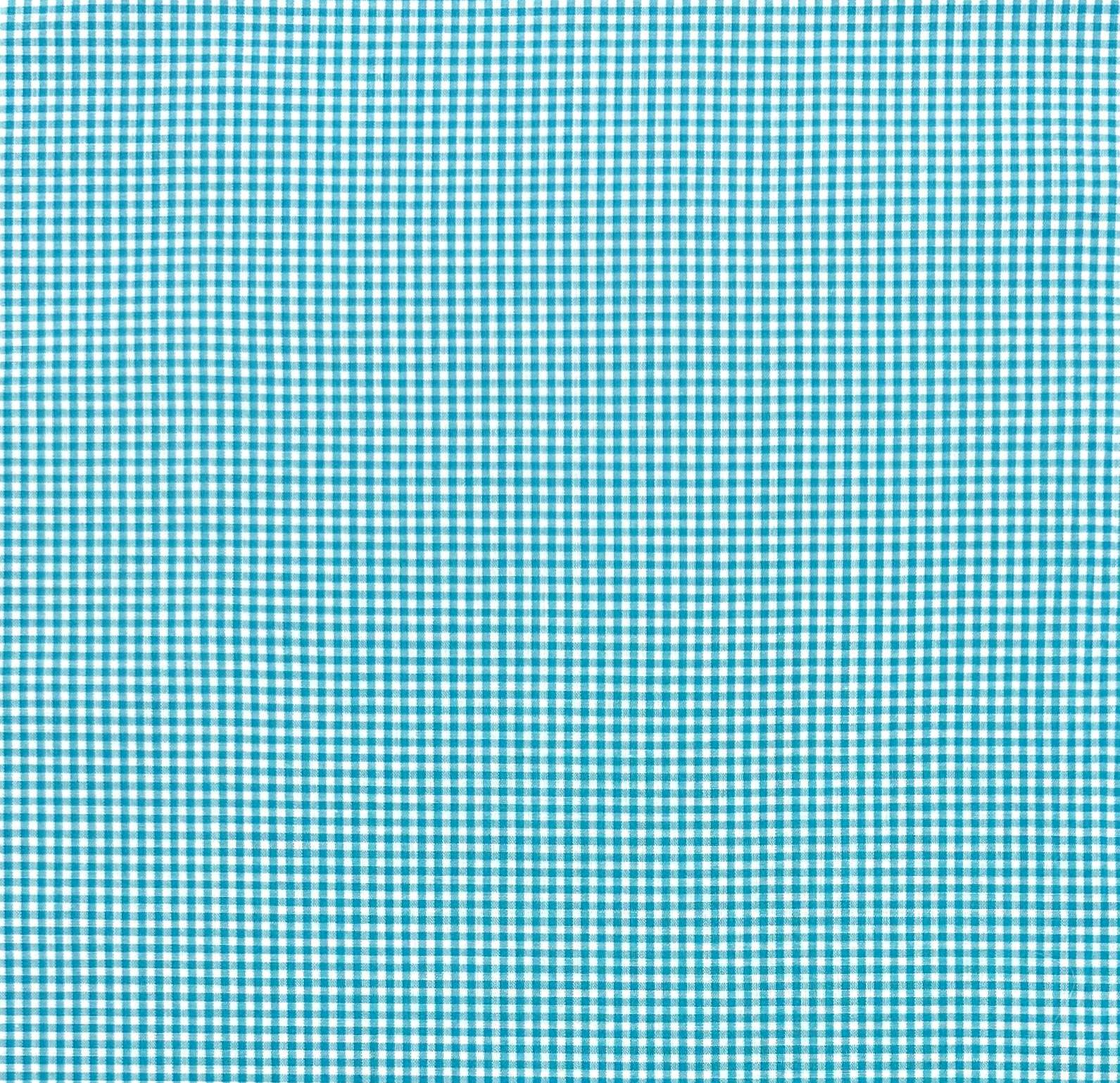 1/8" Cotton Gingham in Turquoise