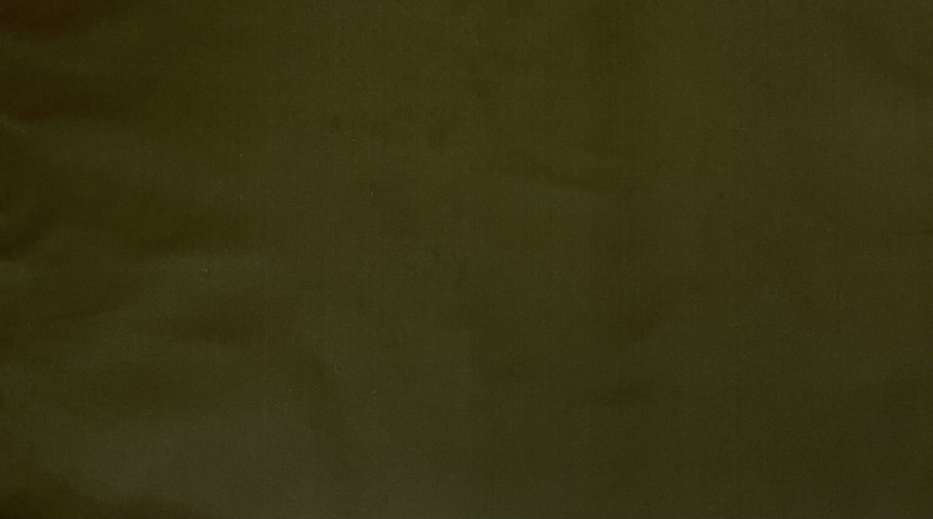 Silk Faced Duchess Satin in Dark Olive