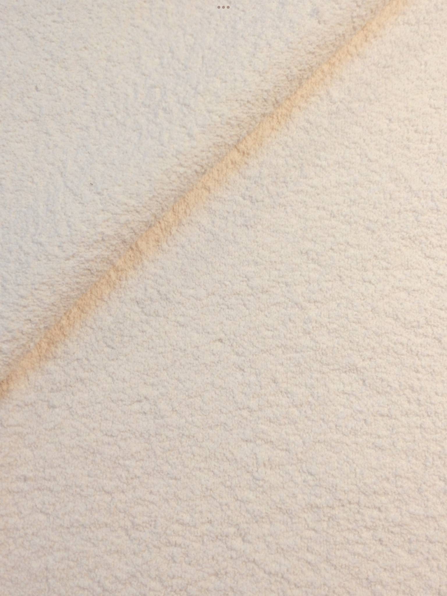 Boucle' in Winter White