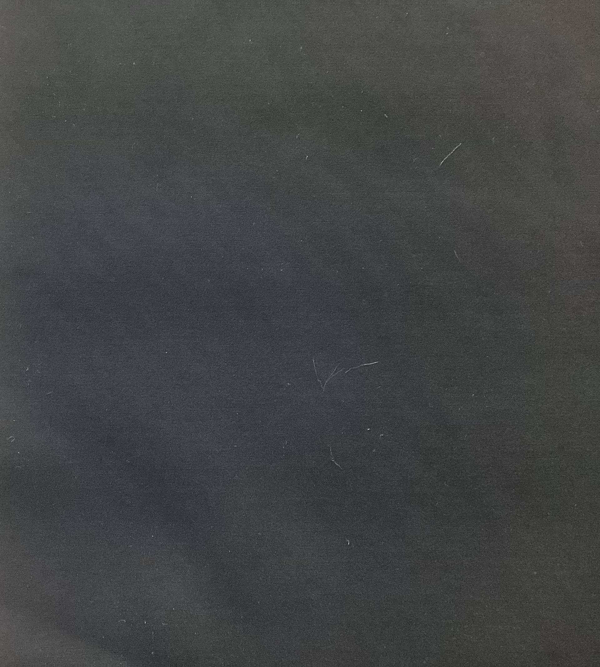 Nylon Spandex Bonded Eurojersey in Galxy Grey