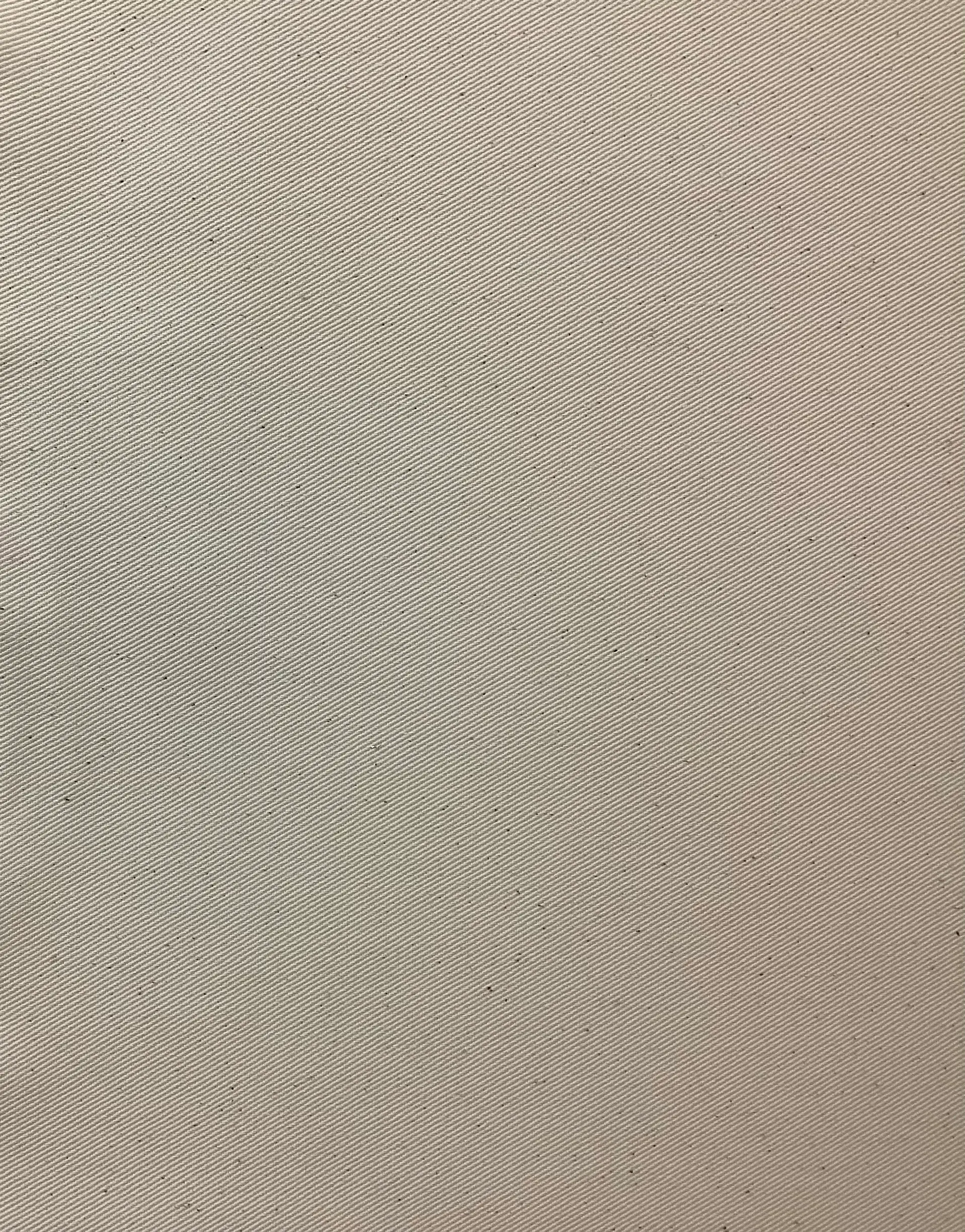 Cotton Chino Twill In Natural