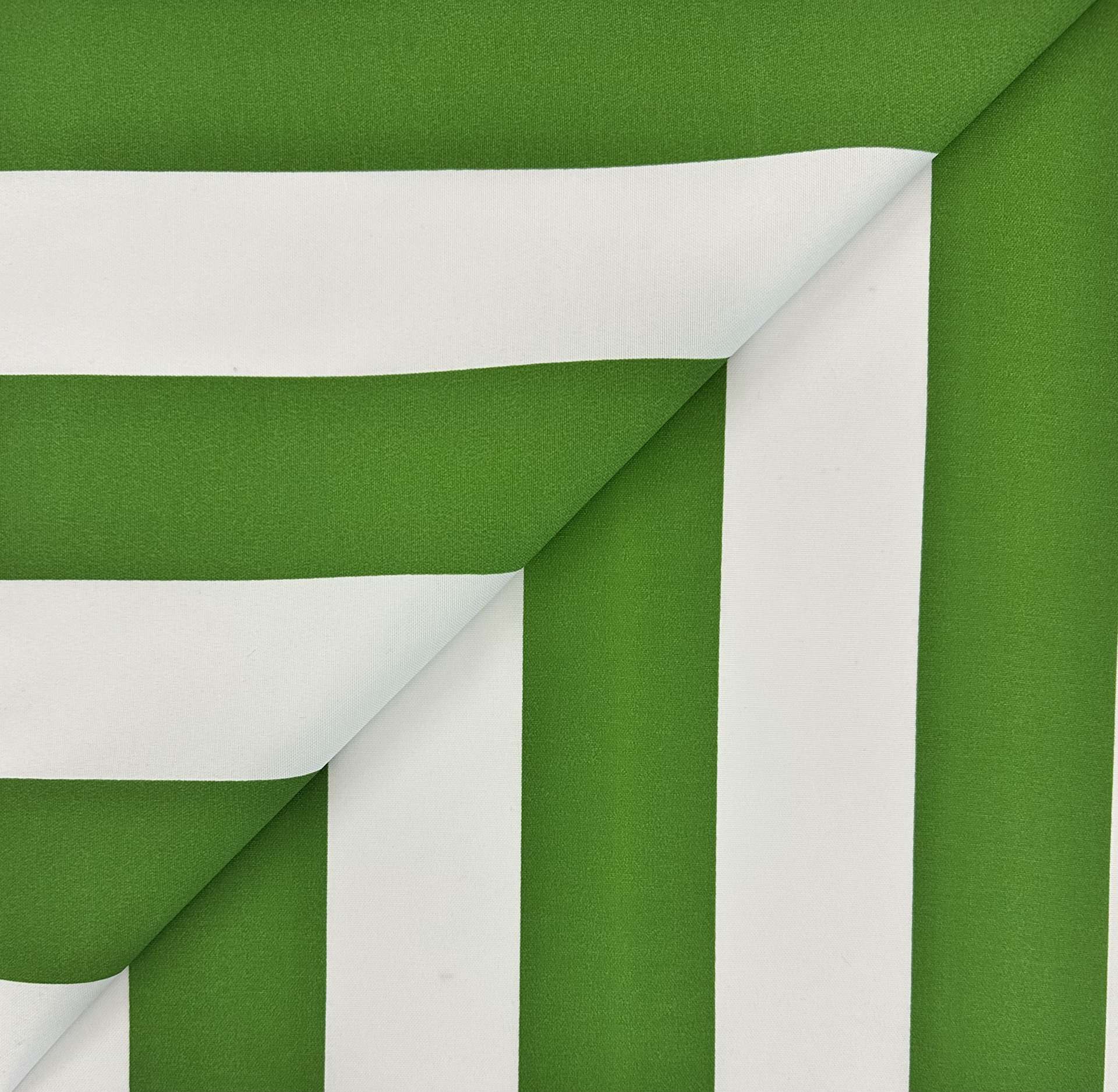 Outdoor Canvas Cabana Stripe in Grass Green