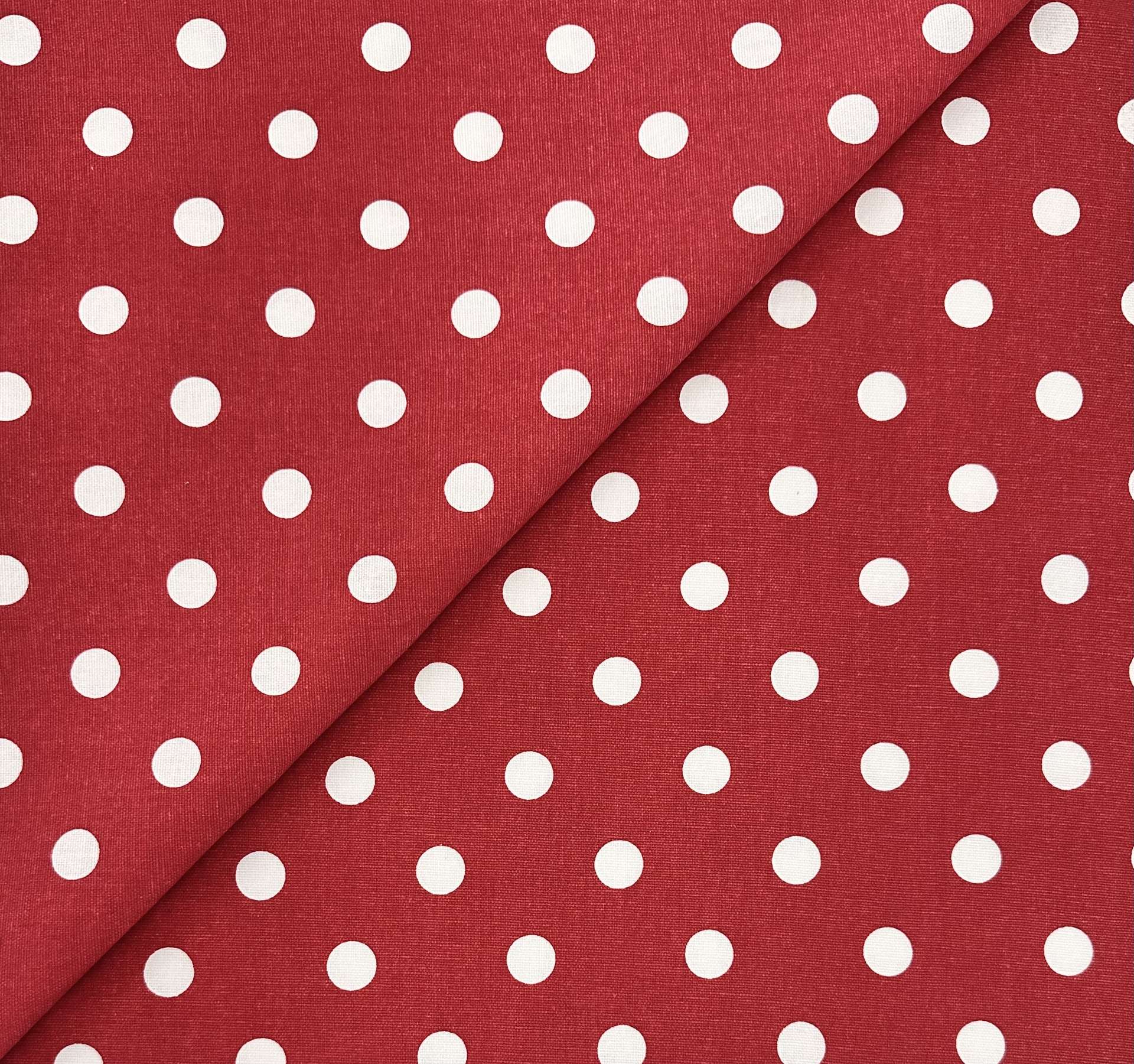 Cotton Canvas Polka Dot in Lipstick White
