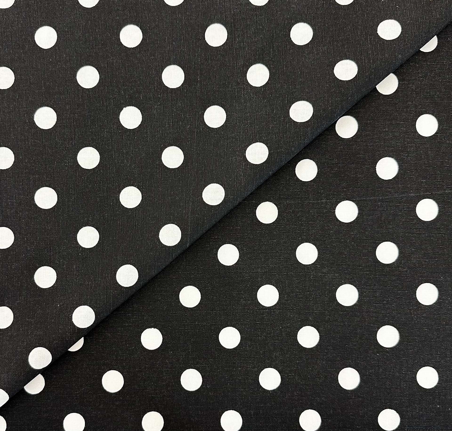 Cotton Canvas Polka Dot in Black White