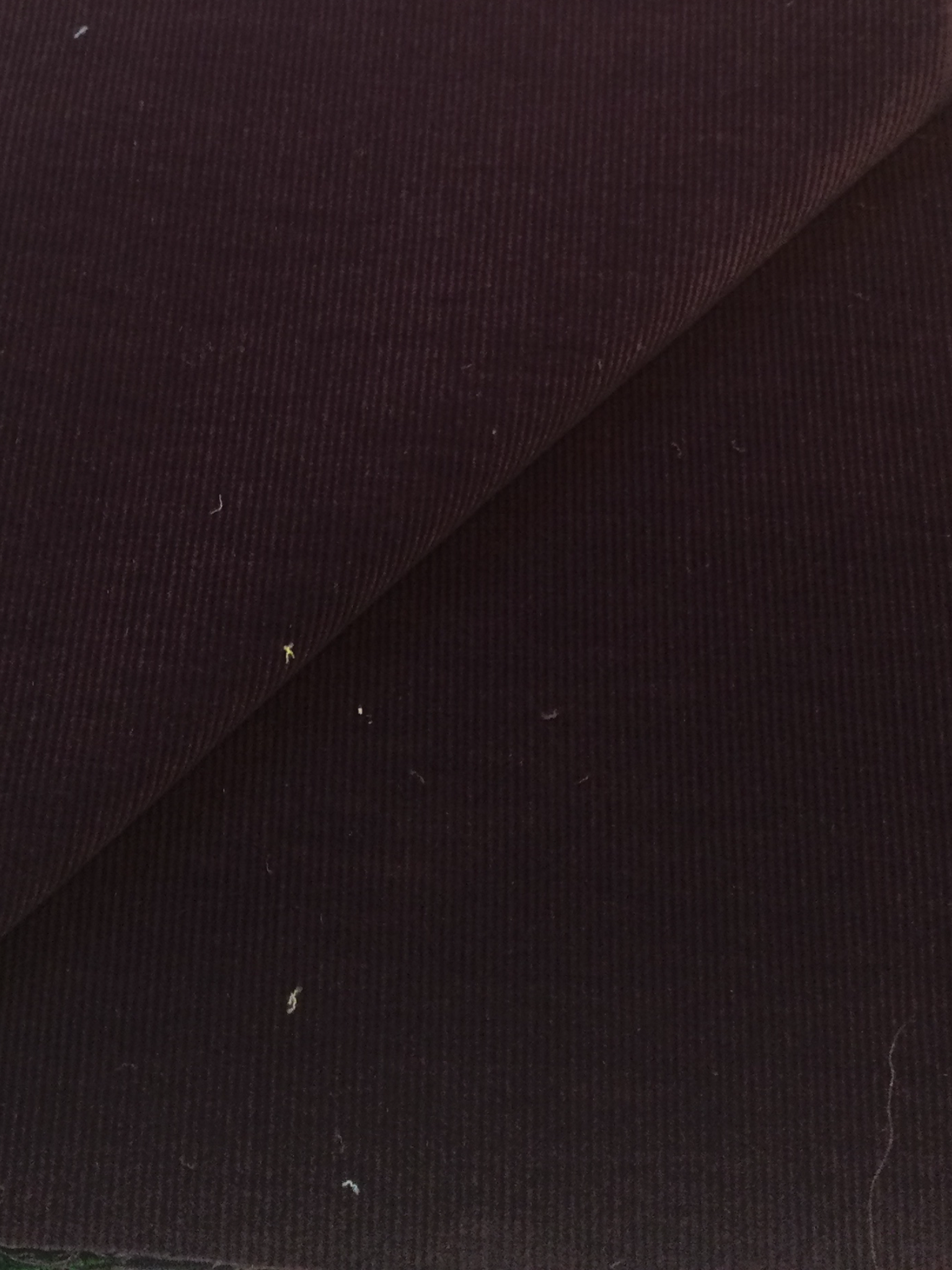 Made in Italy Cotton Corduroy