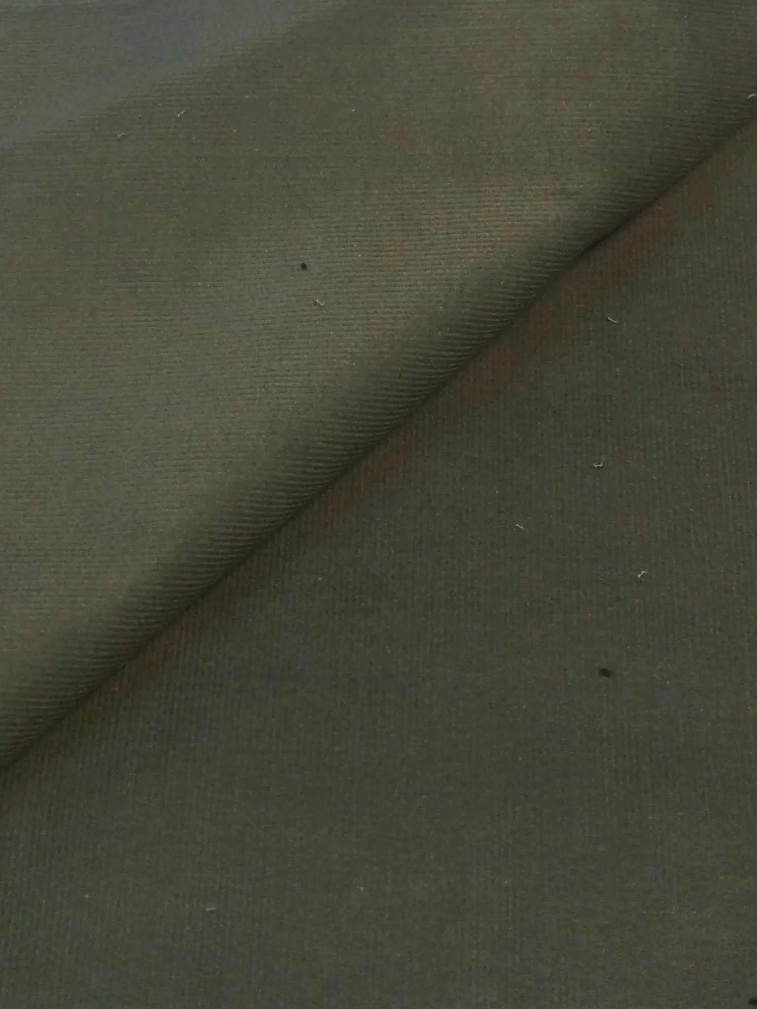 Made in Italy Cotton Corduroy Sagebrush