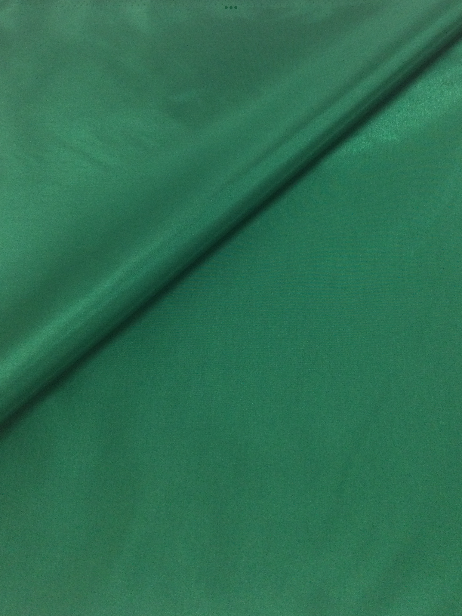 Polyester Taffeta in Spruce