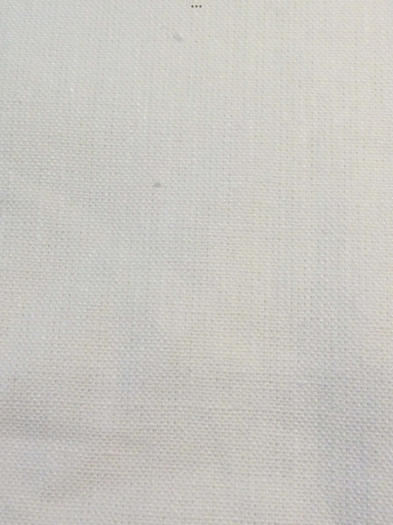 Linen Upholstery Canvas in White