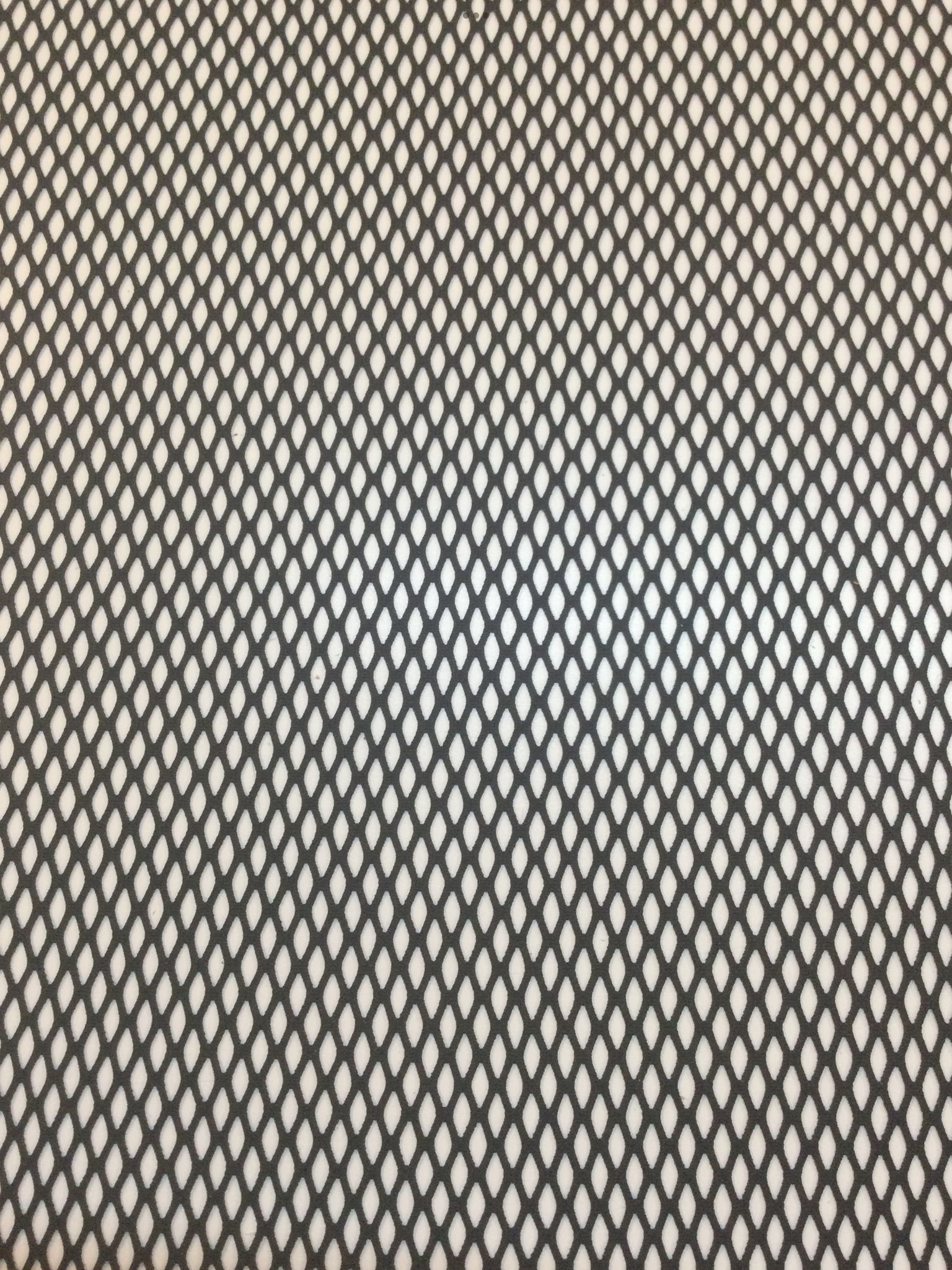 Fishnet in Onyx