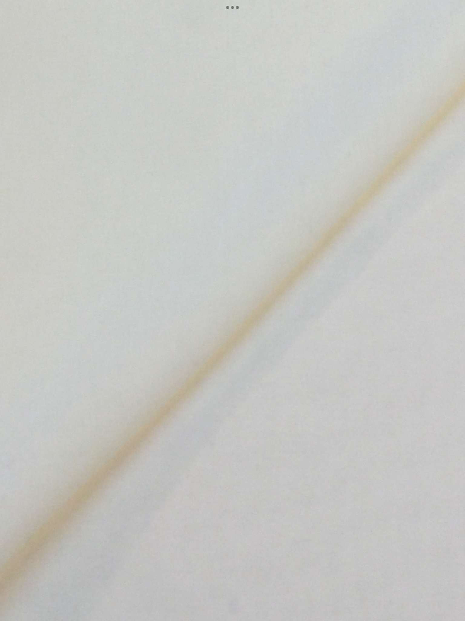 Japanese Polyester Gauze Chiffon in Ivory