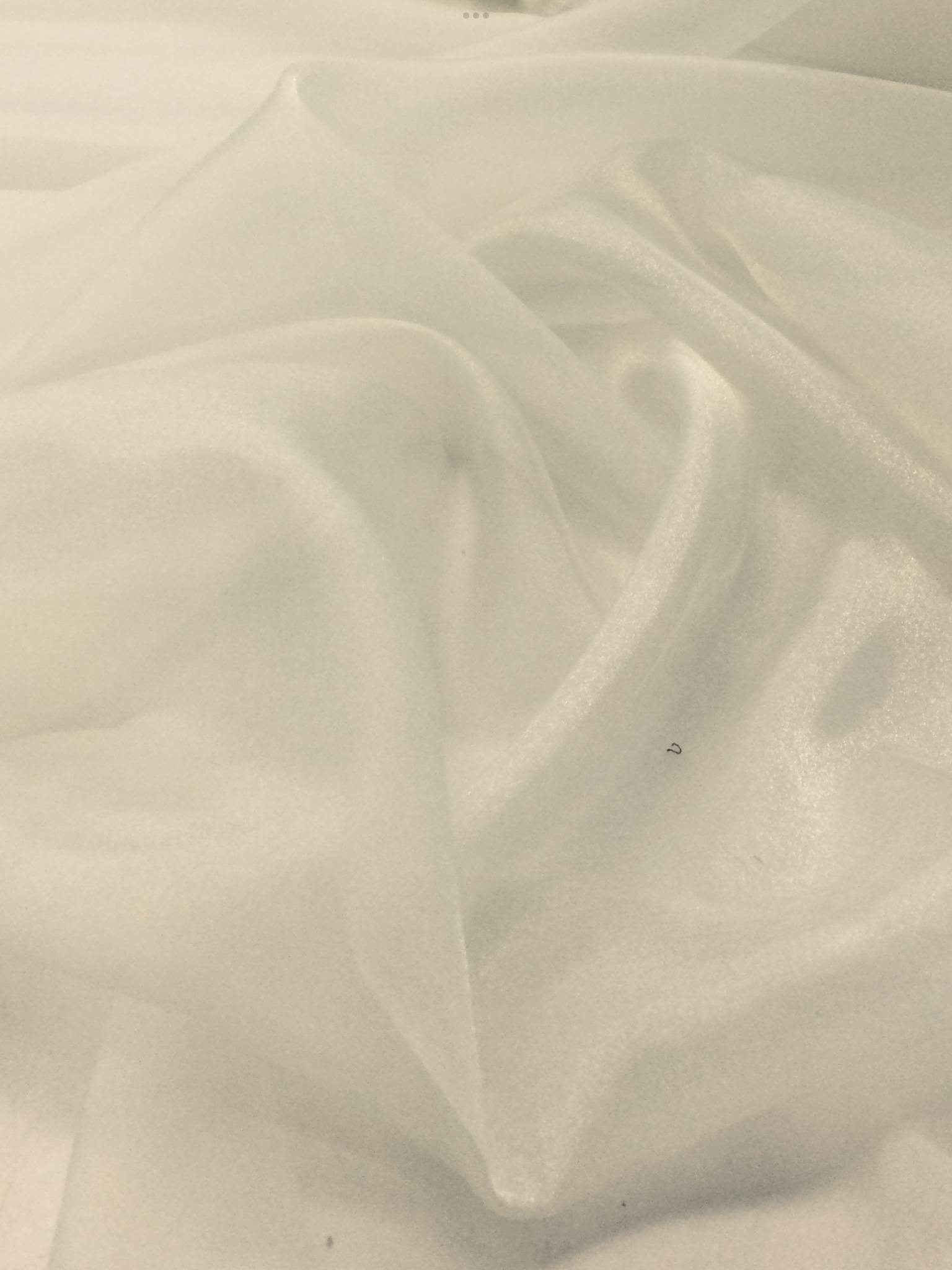 Nylon Sparkle Organza in Cream