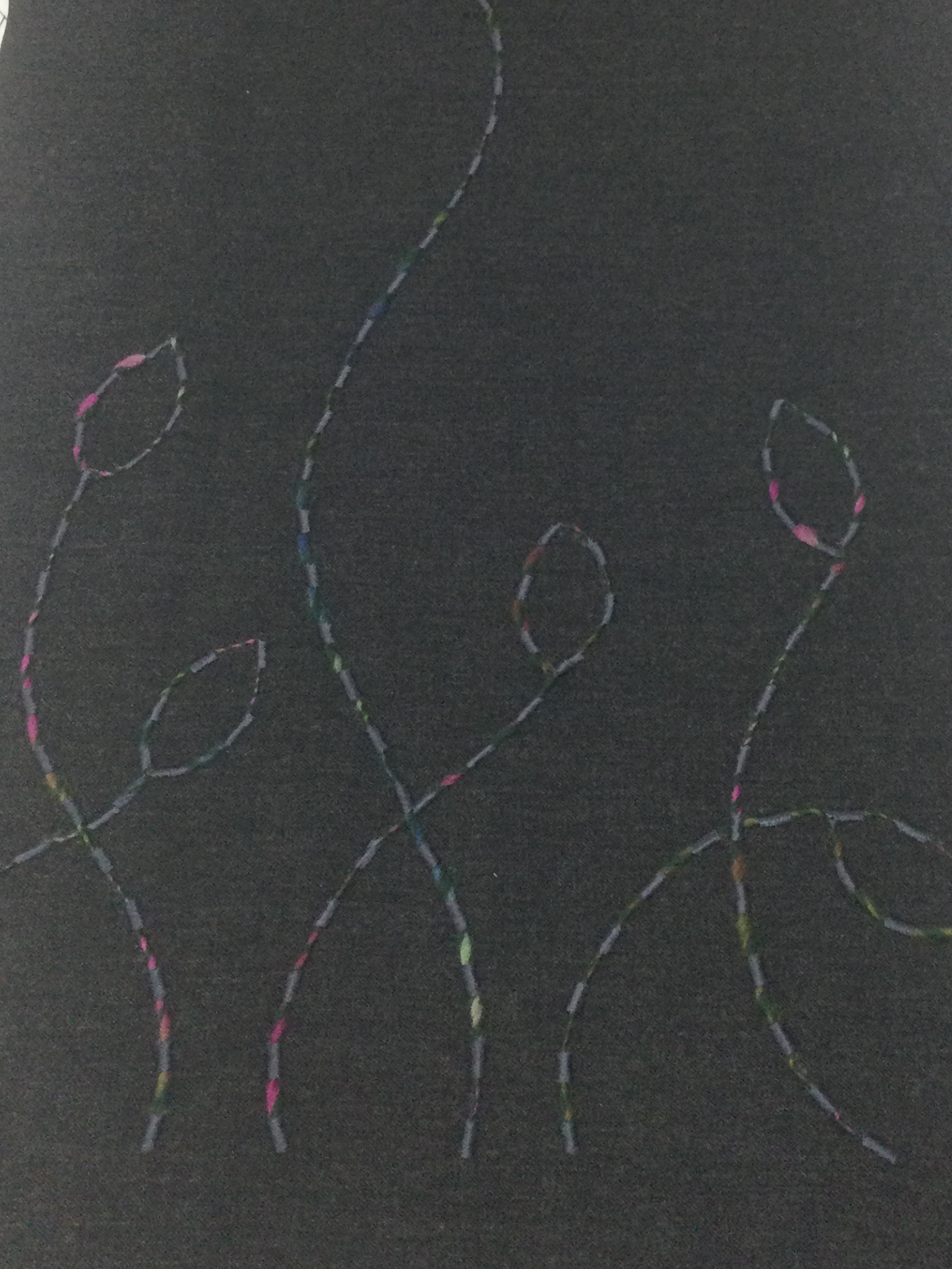 Novelty Wool with Boarder Design