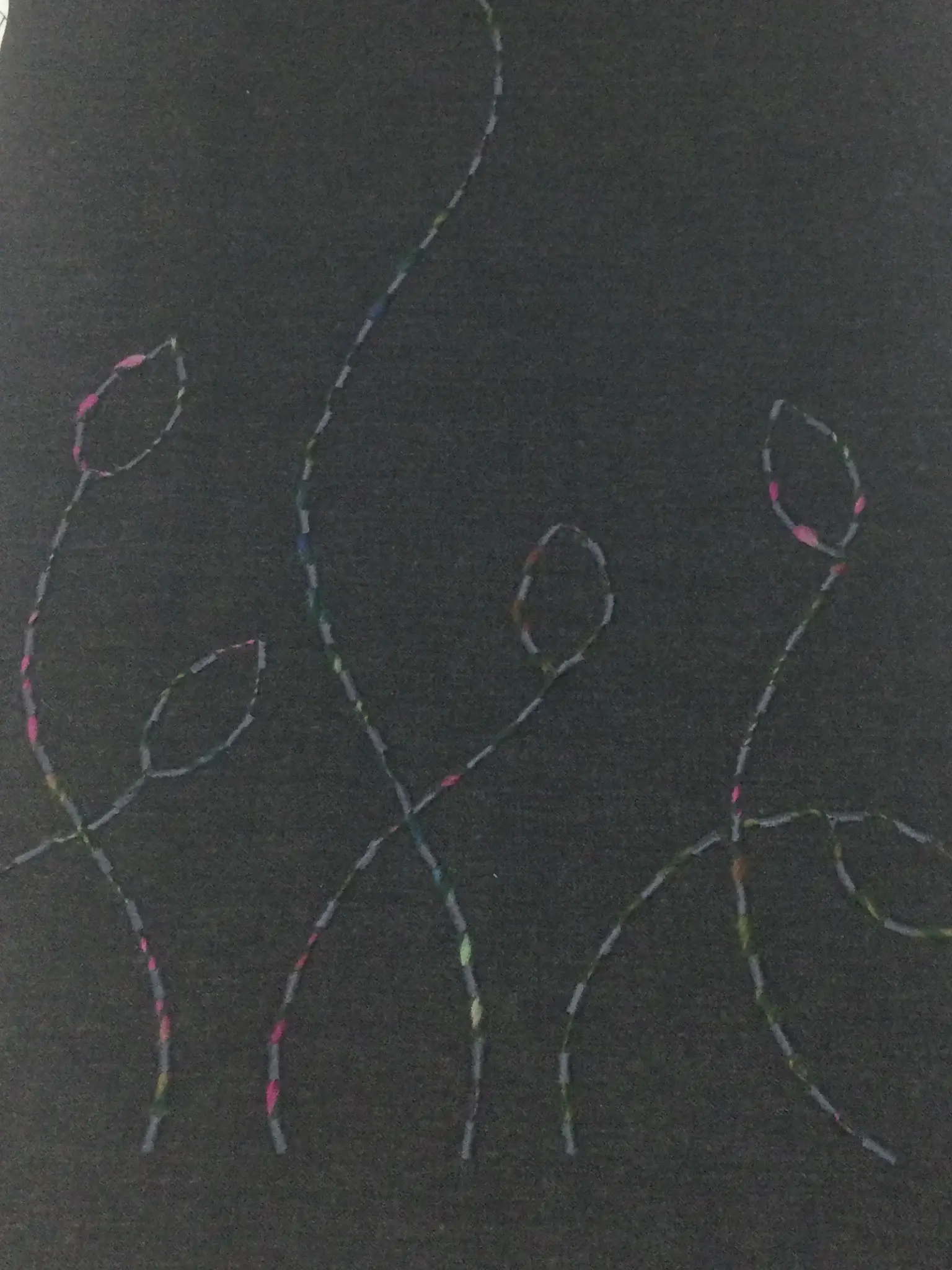Novelty Wool with Boarder Design