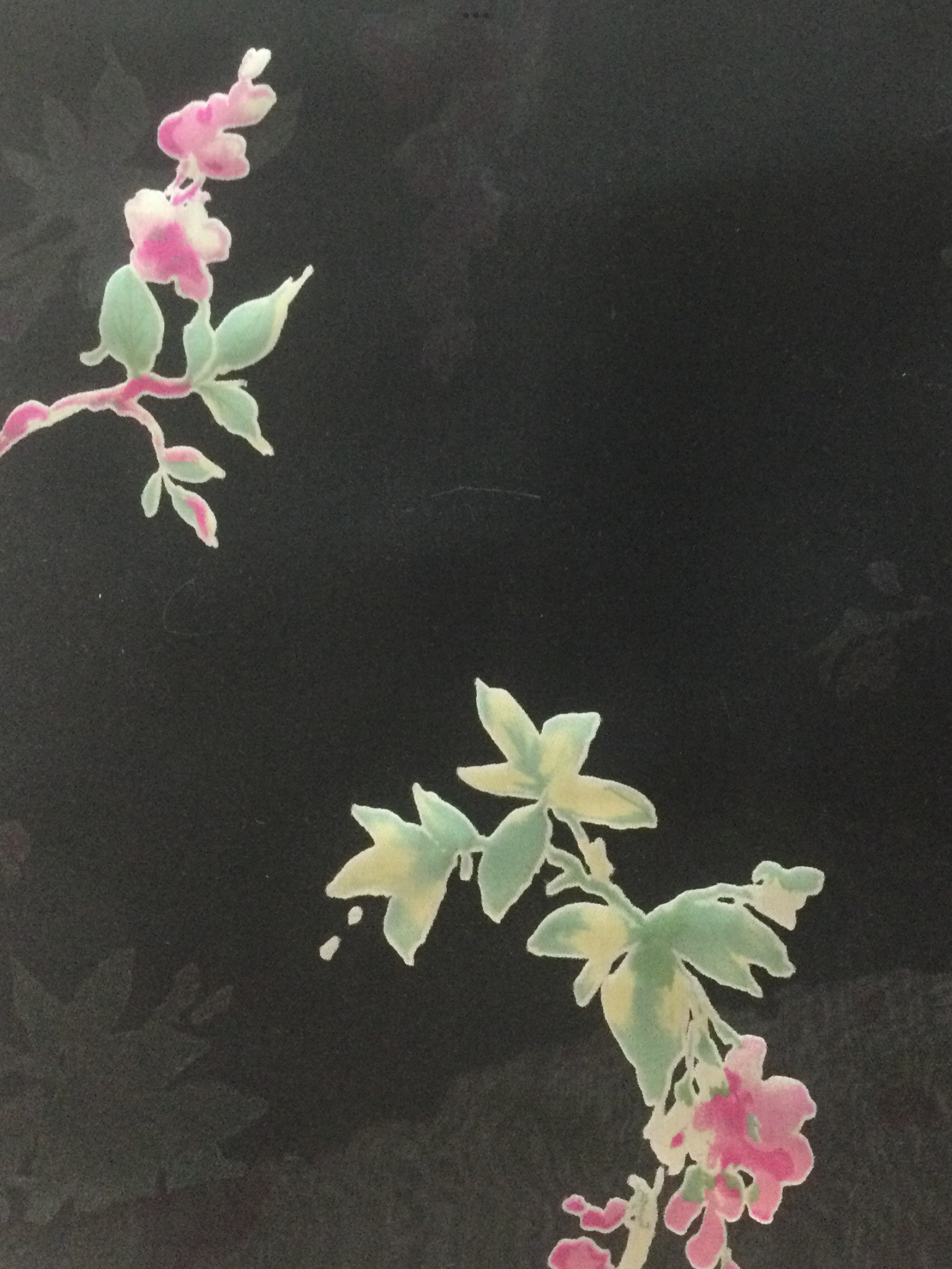 Printed Silk Burn out Chiffon