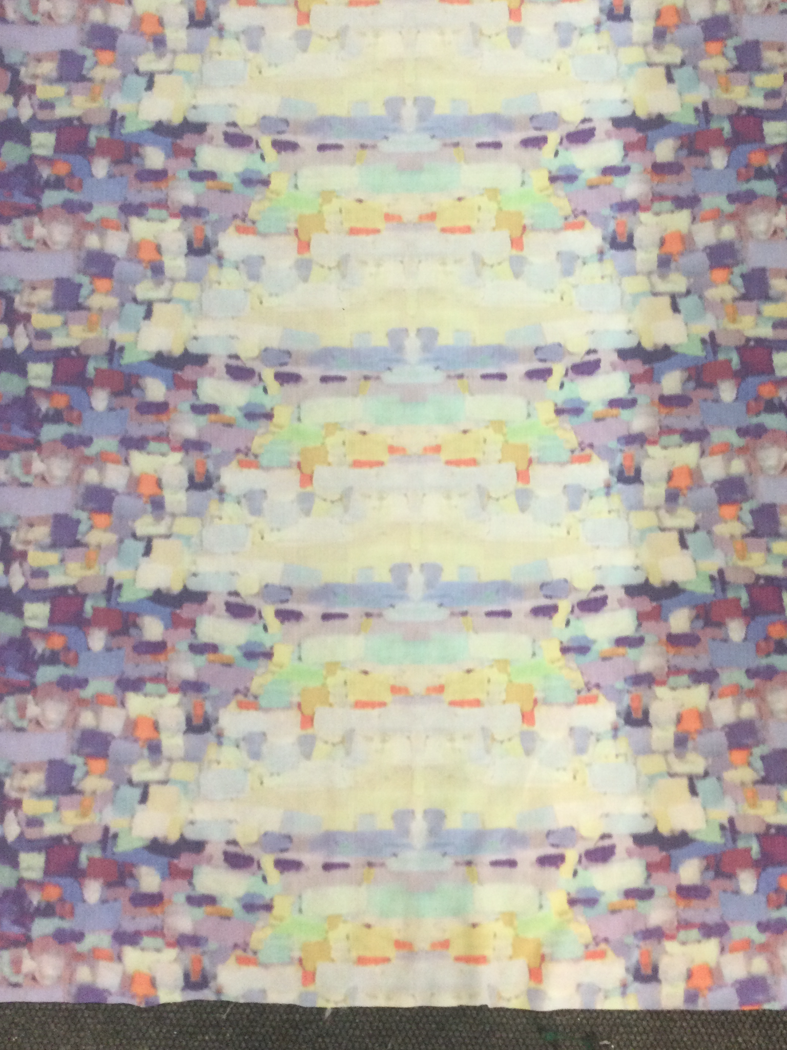 Polyester Warp Printed Taffeta
