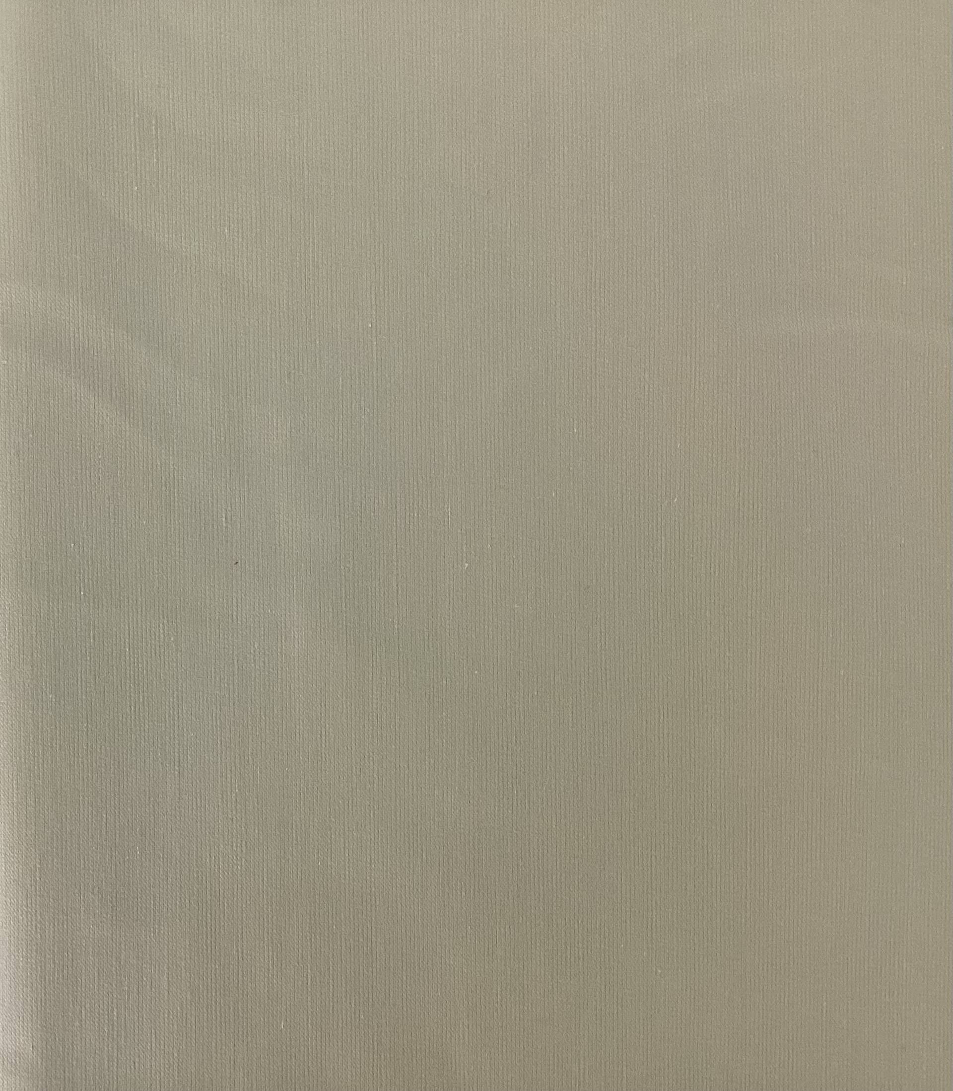 Cotton & Lycra Shirting In Oyster