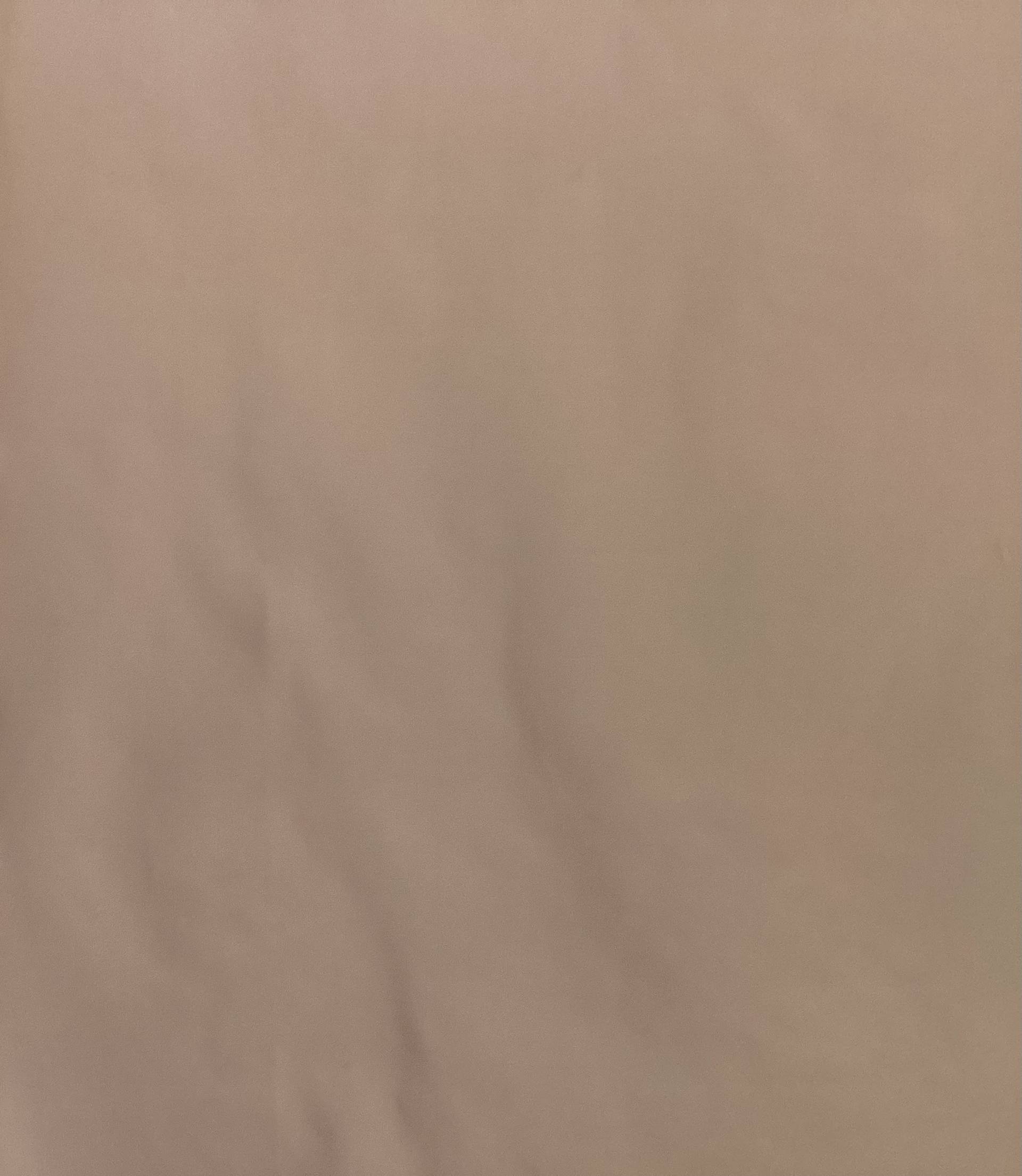 Polyester Taffeta in Salmon