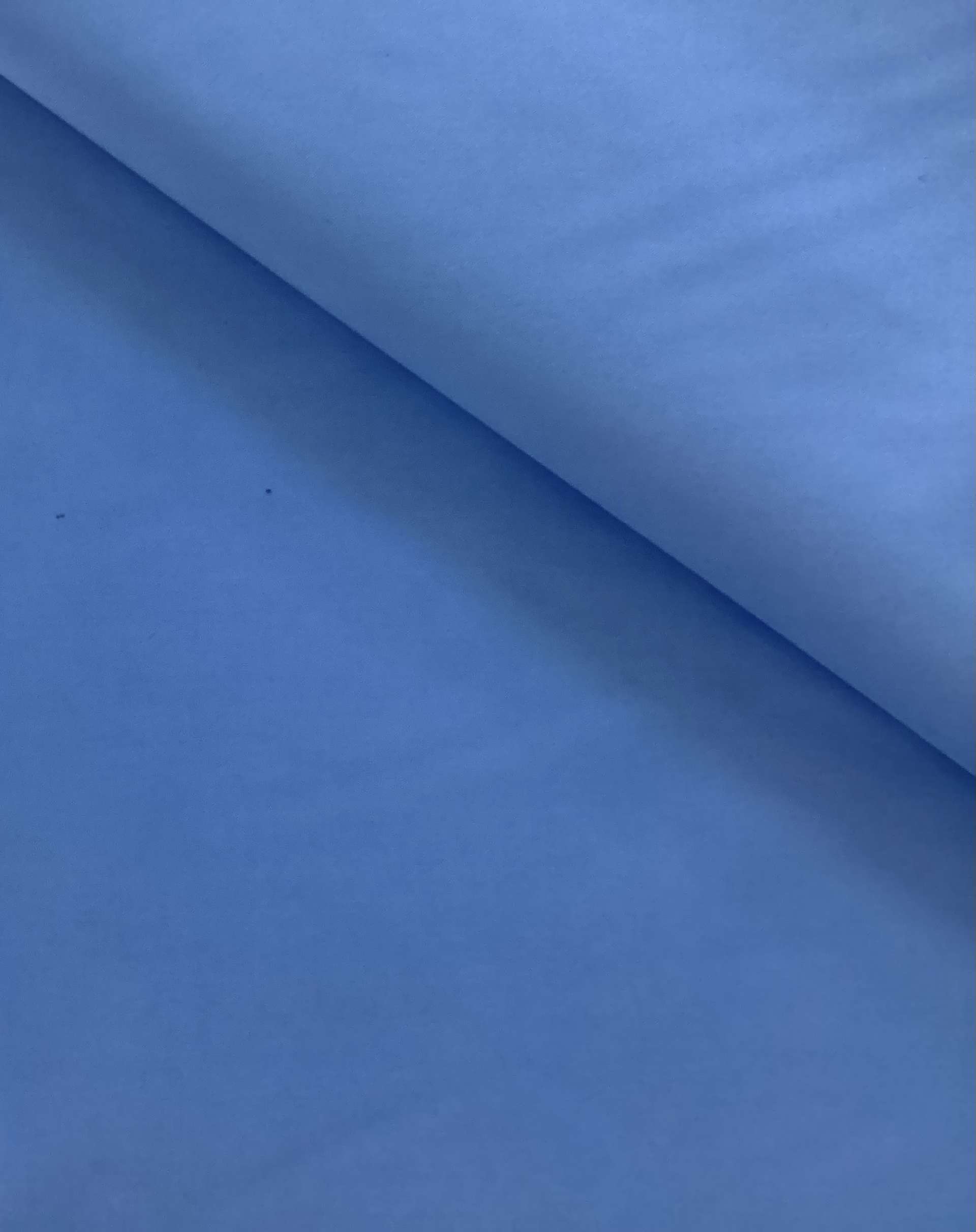 Cotton Pima Broadcloth in Sky
