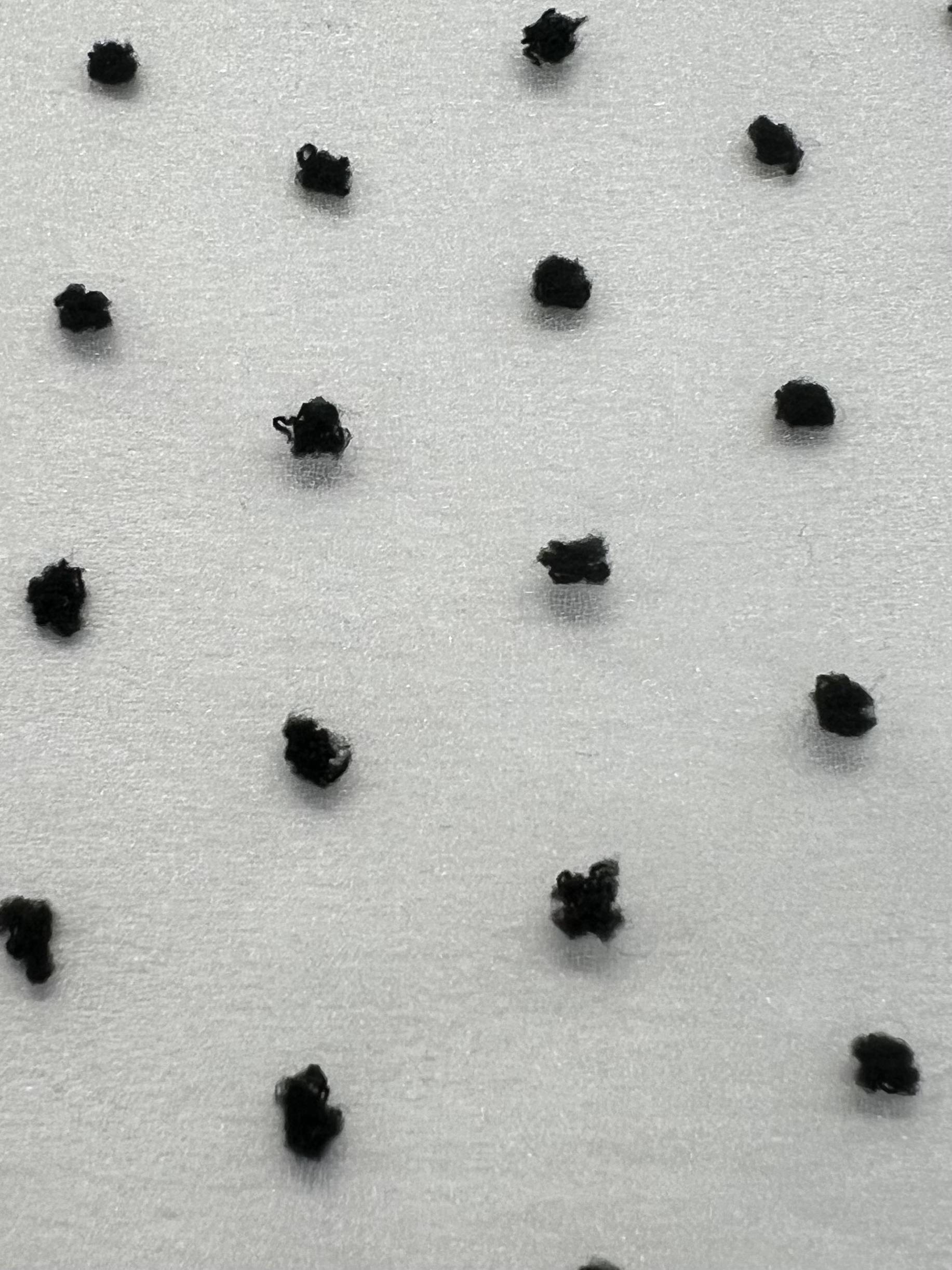 Polyester Swiss Dot Crinkle Organza in Black and White