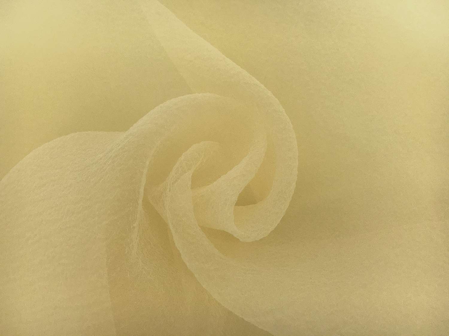 Japanese Pebbled Poly Organza in Butter0
