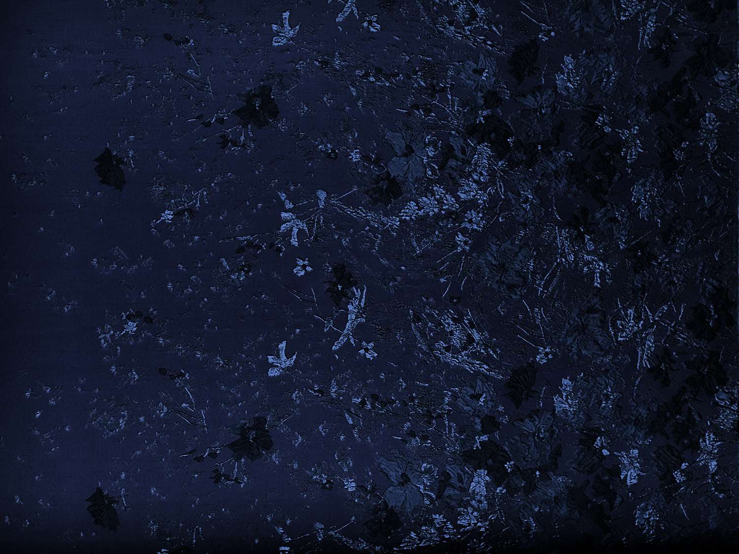 Polyester Twill with Metallic Abstract Floral Border0