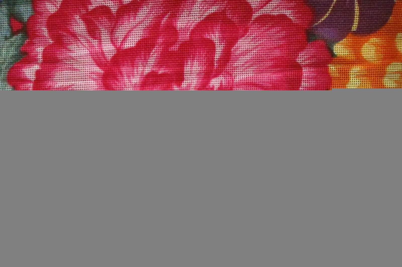 Silk and Cotton Mesh Gazar0