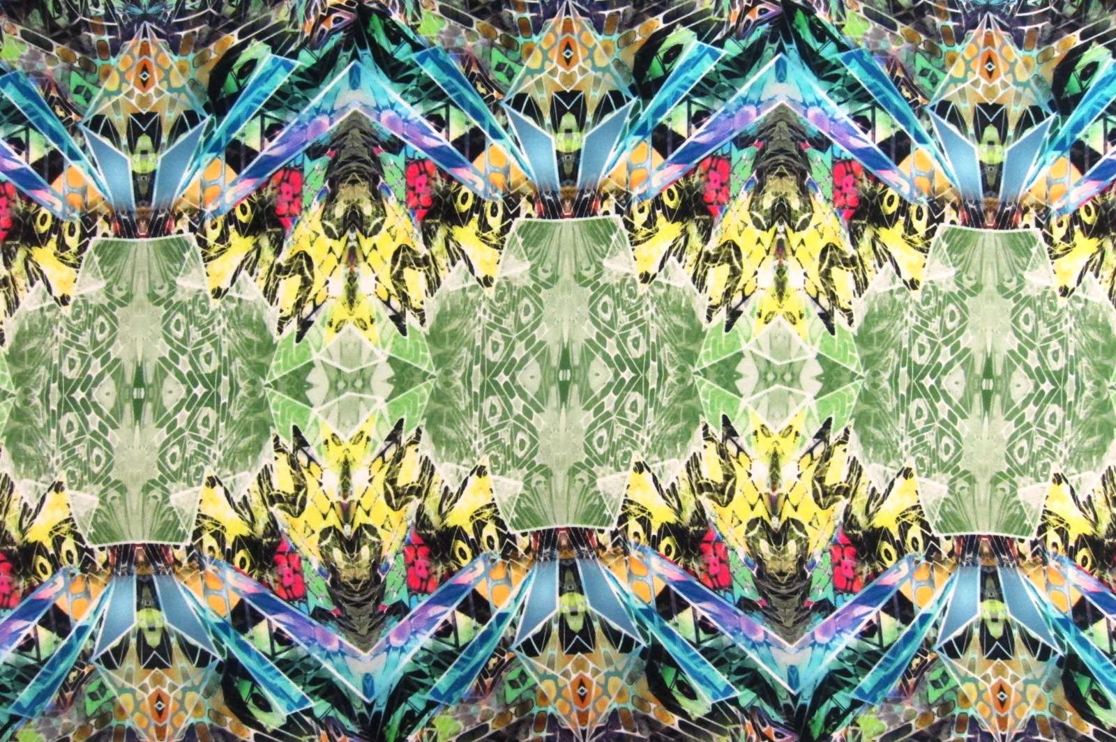 Printed Silk Charmeuse0