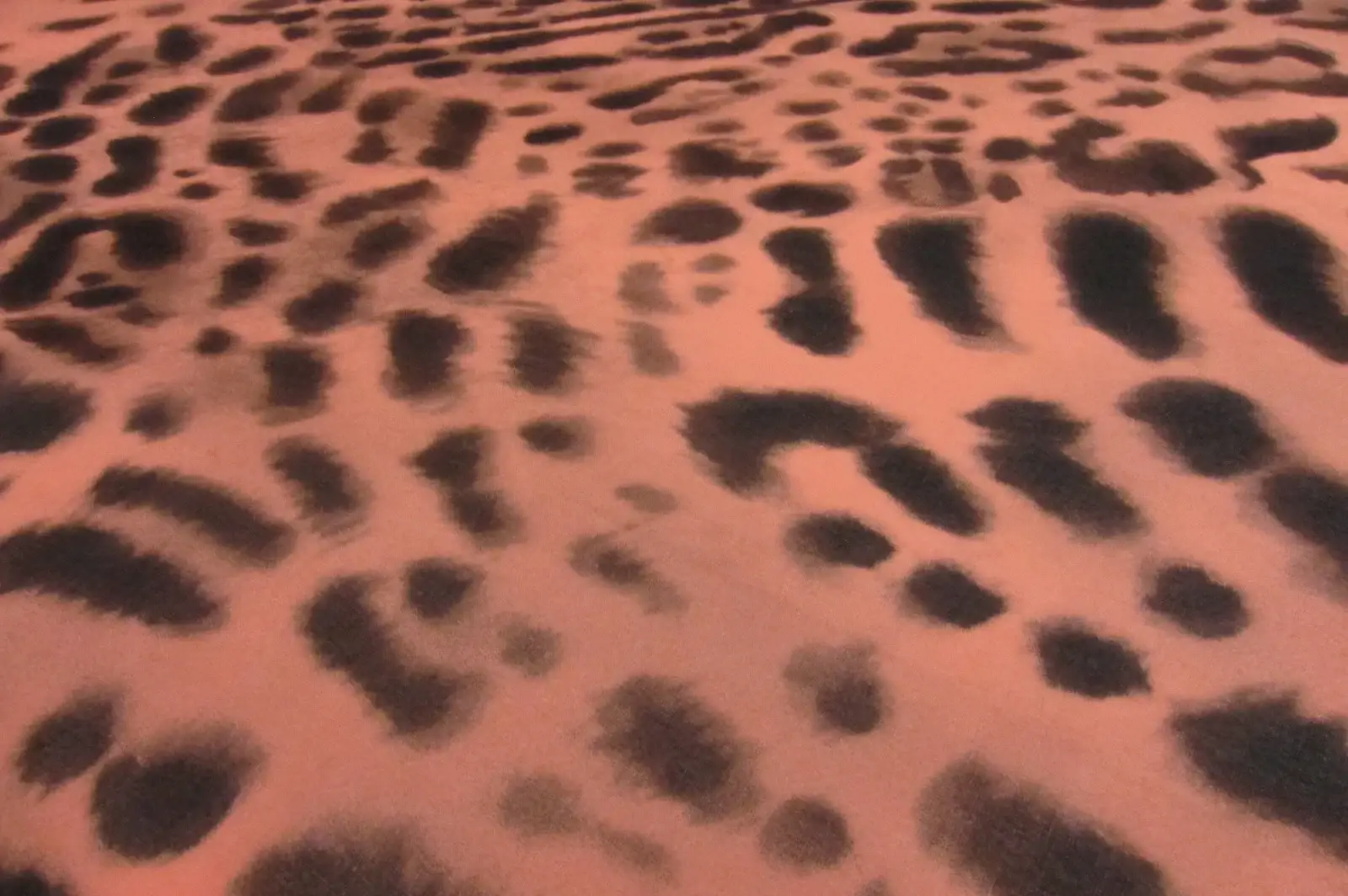 Printed Silk Chiffon2