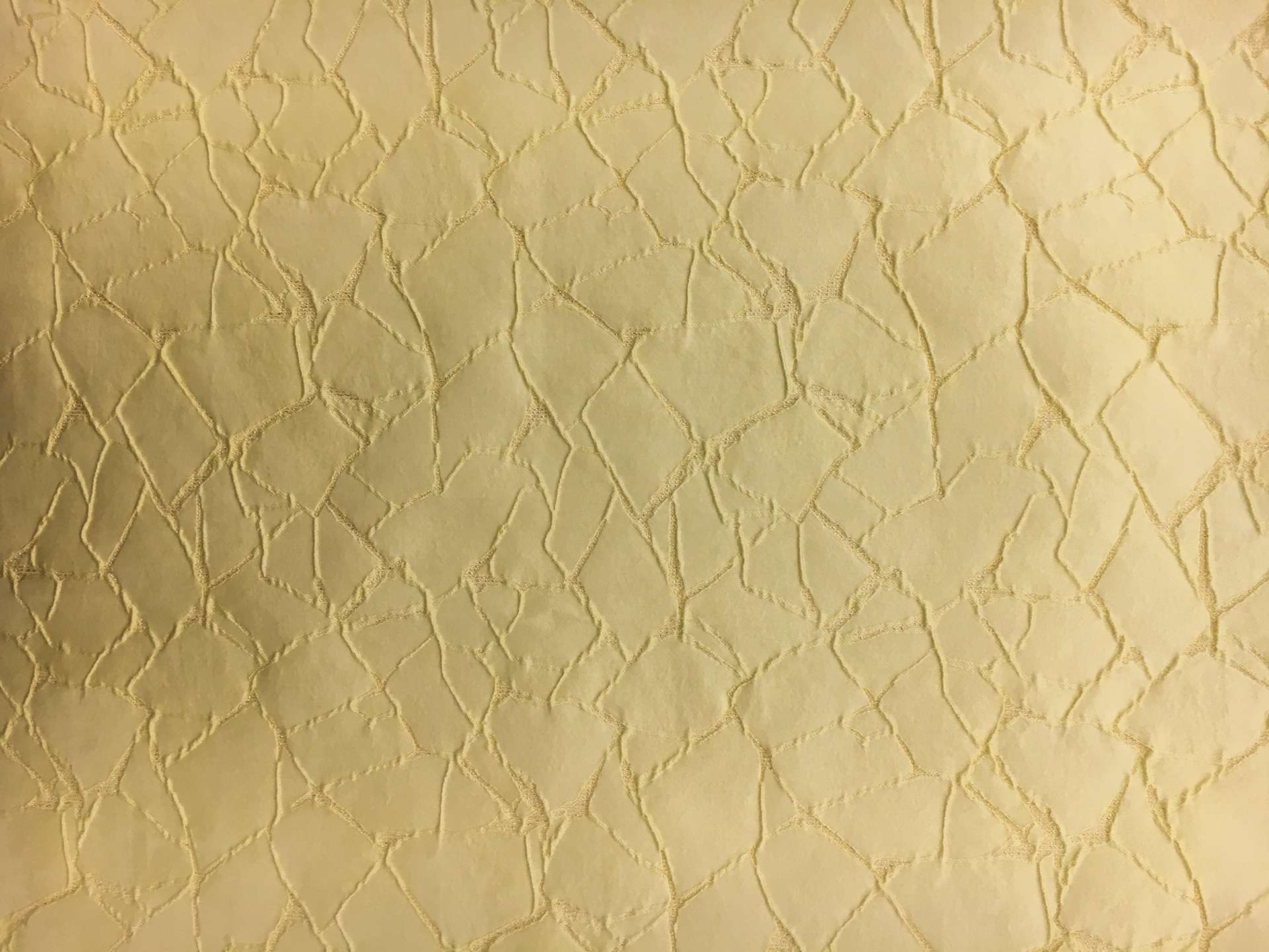 Silk and Polyester Blend Metallic Cloqué Brocade with Cracked Texture0