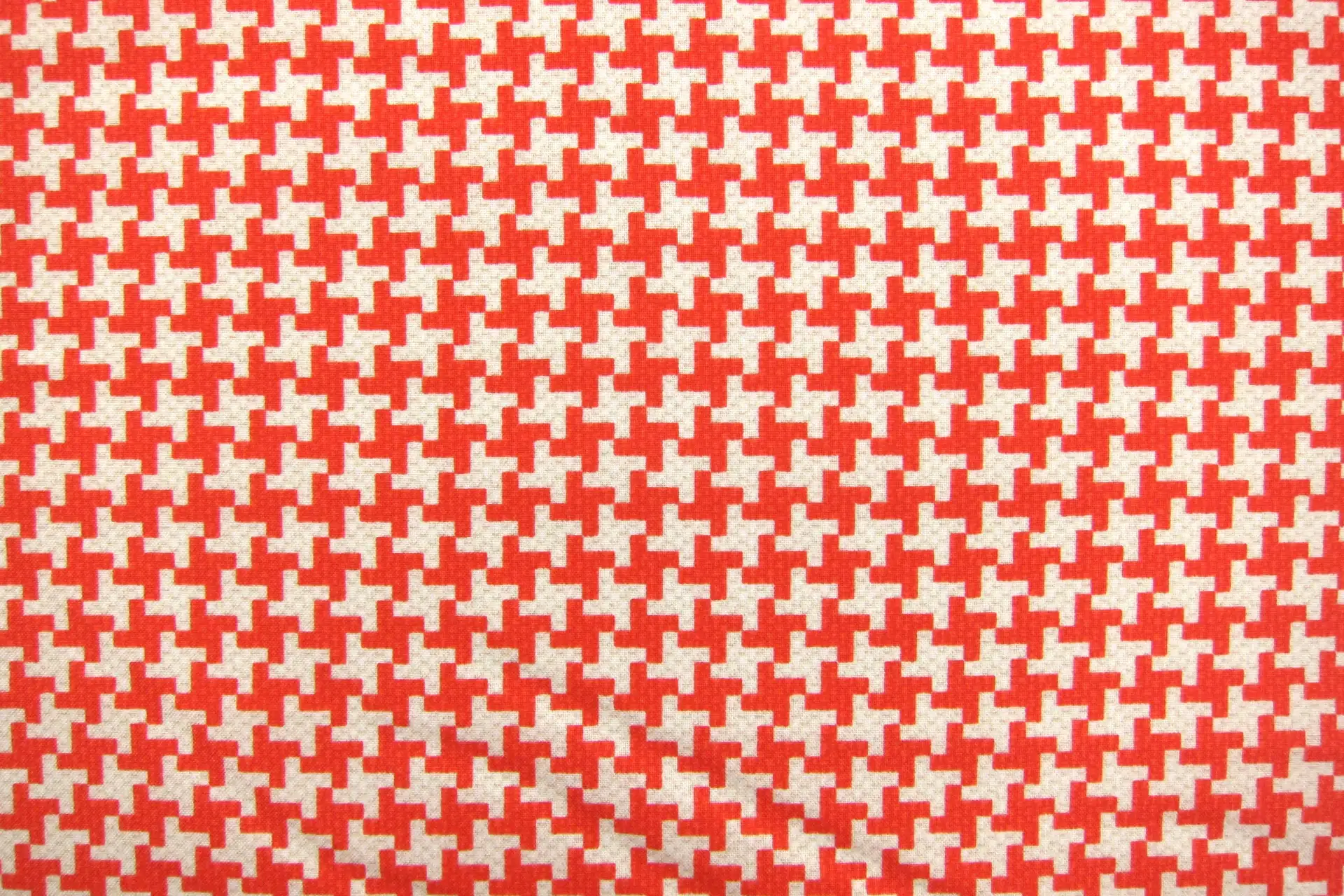 Cotton Broadcloth Print0