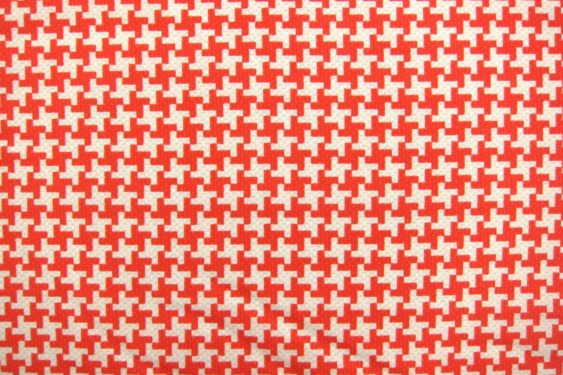 Cotton Broadcloth Print0