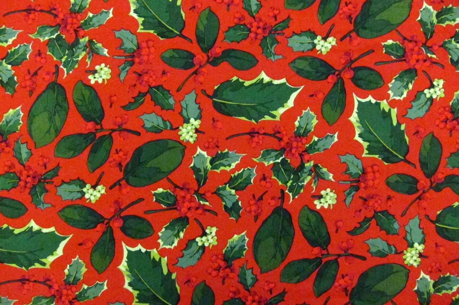 Cotton Broadcloth Print0