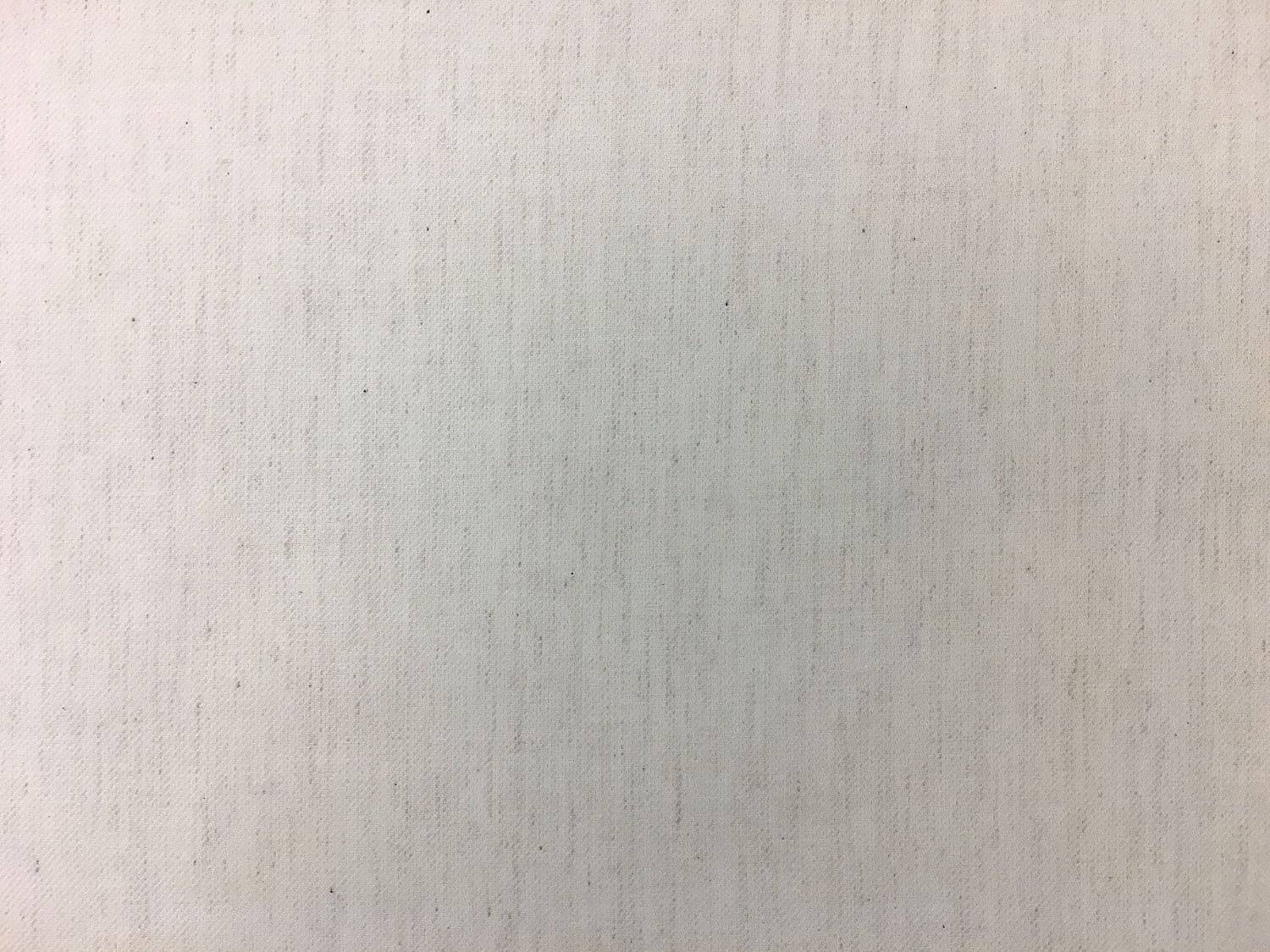 Cotton Flannel Twill in Ivory0