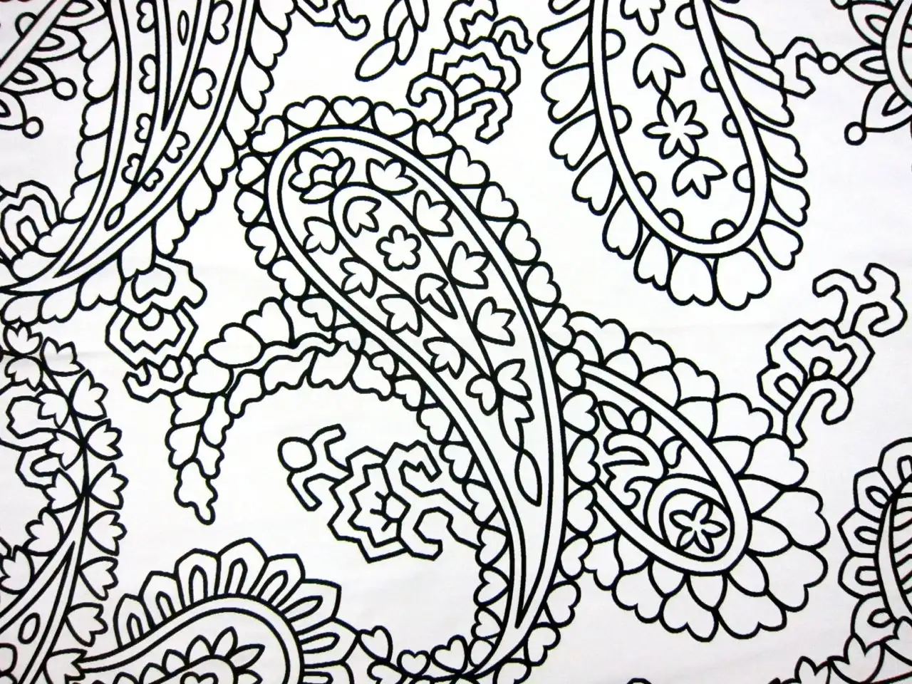 Poly Blend Double Face Zibeline0