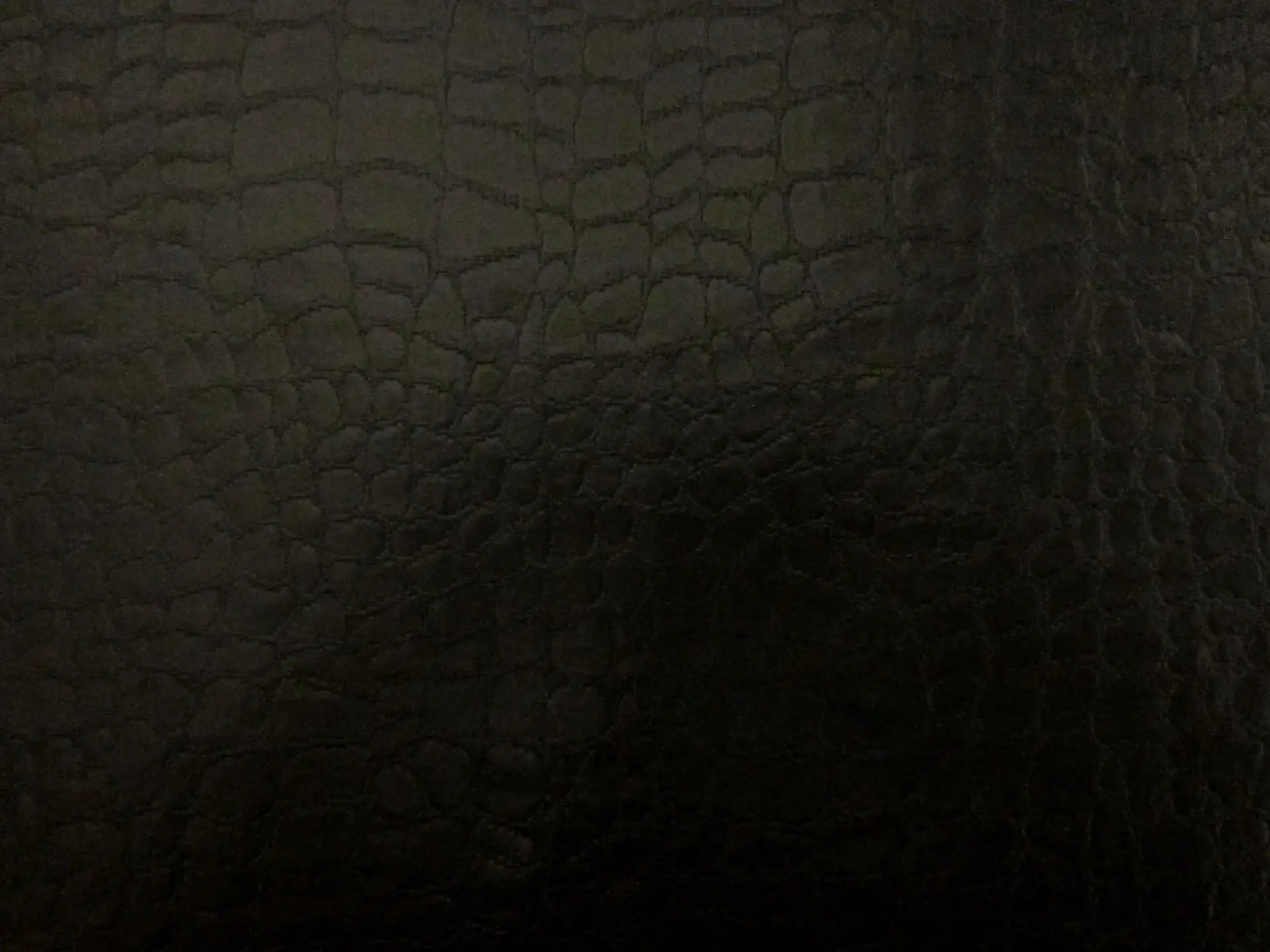 Ceré Brocade0