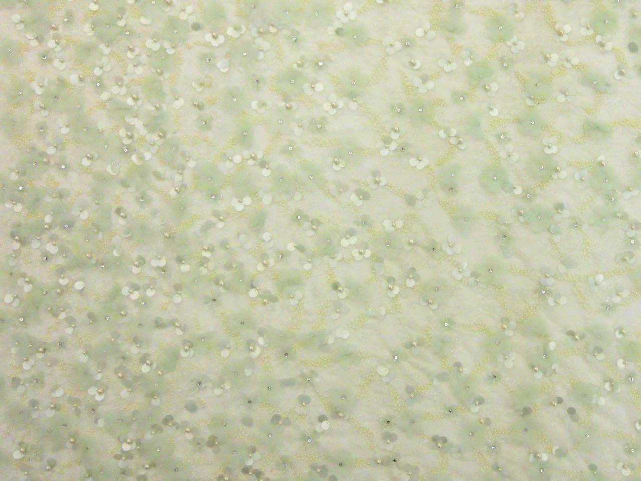 Beaded Lace0