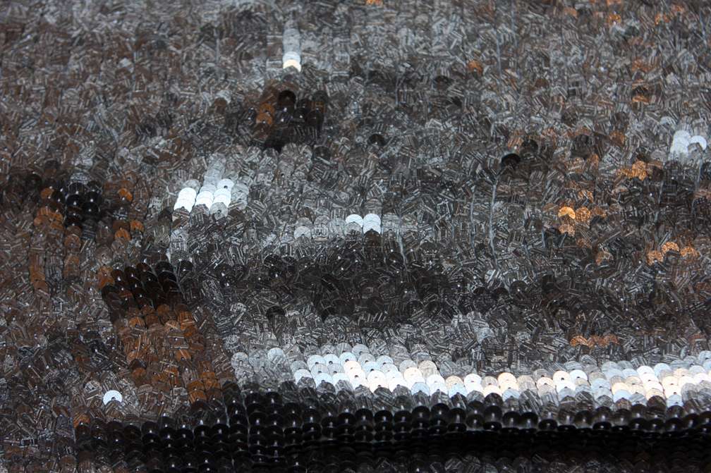 Sequins on Silk Chiffon0