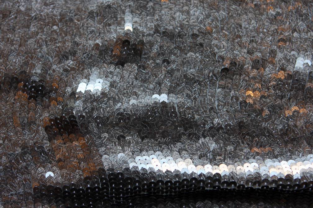 Sequins on Silk Chiffon0