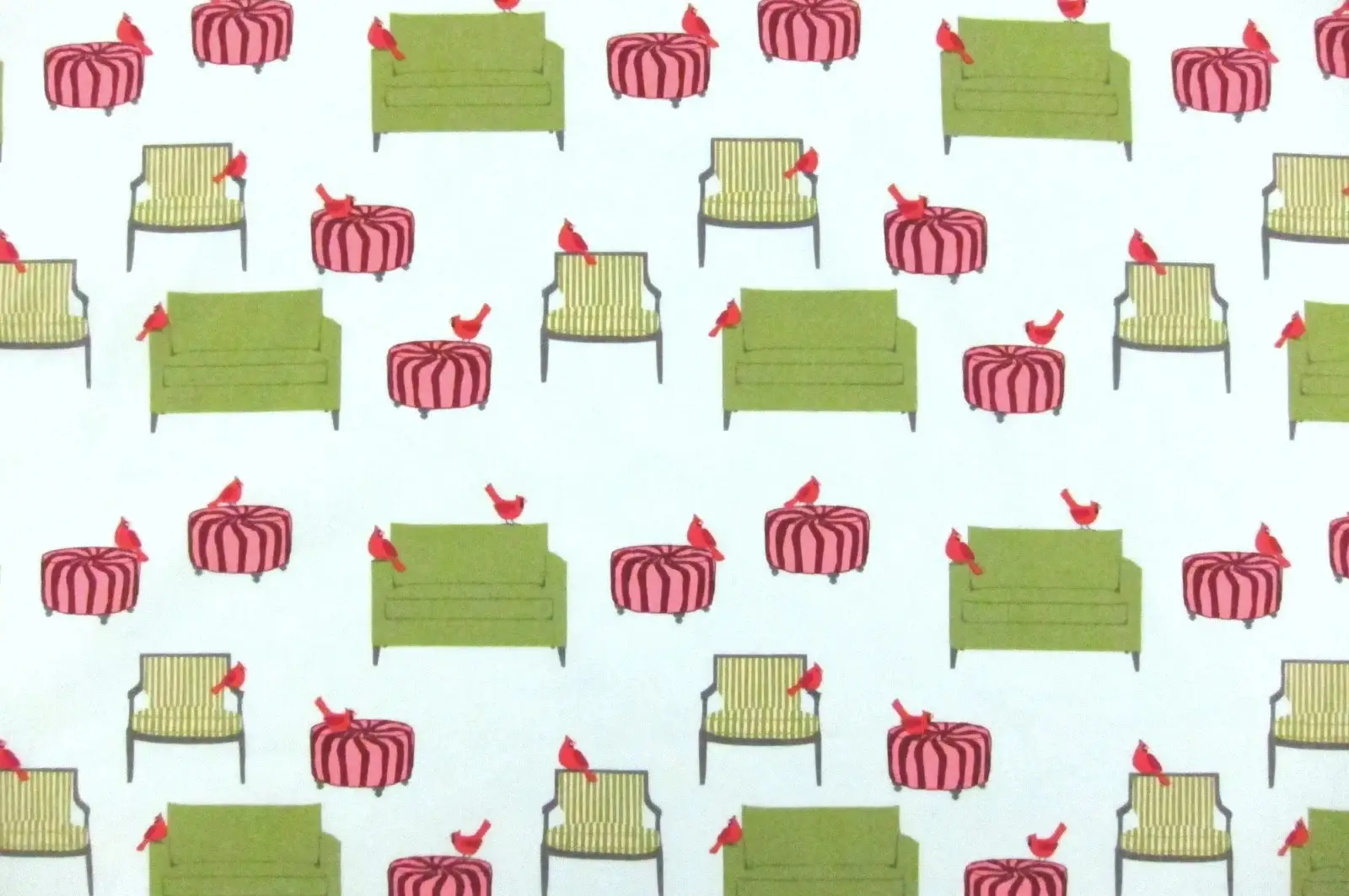 Cotton Broadcloth Print0