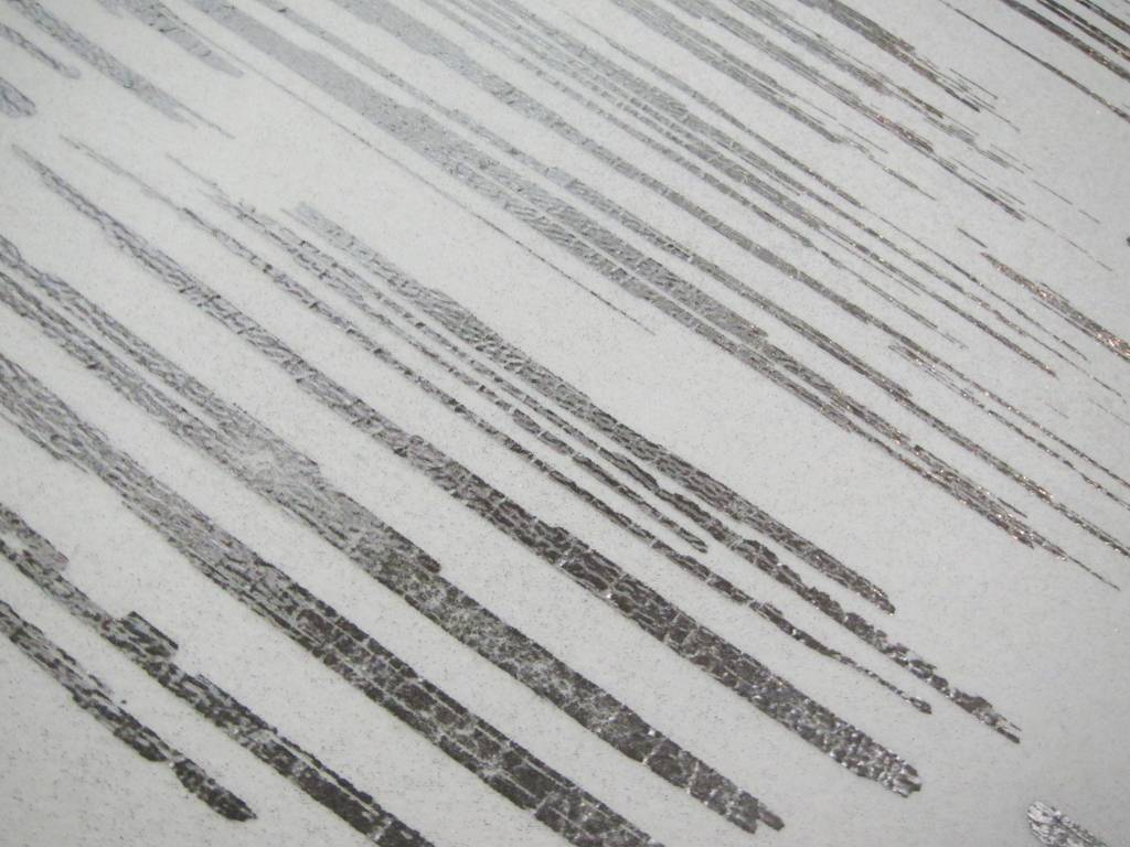 Polyester Viscose Foil Print Novelty2