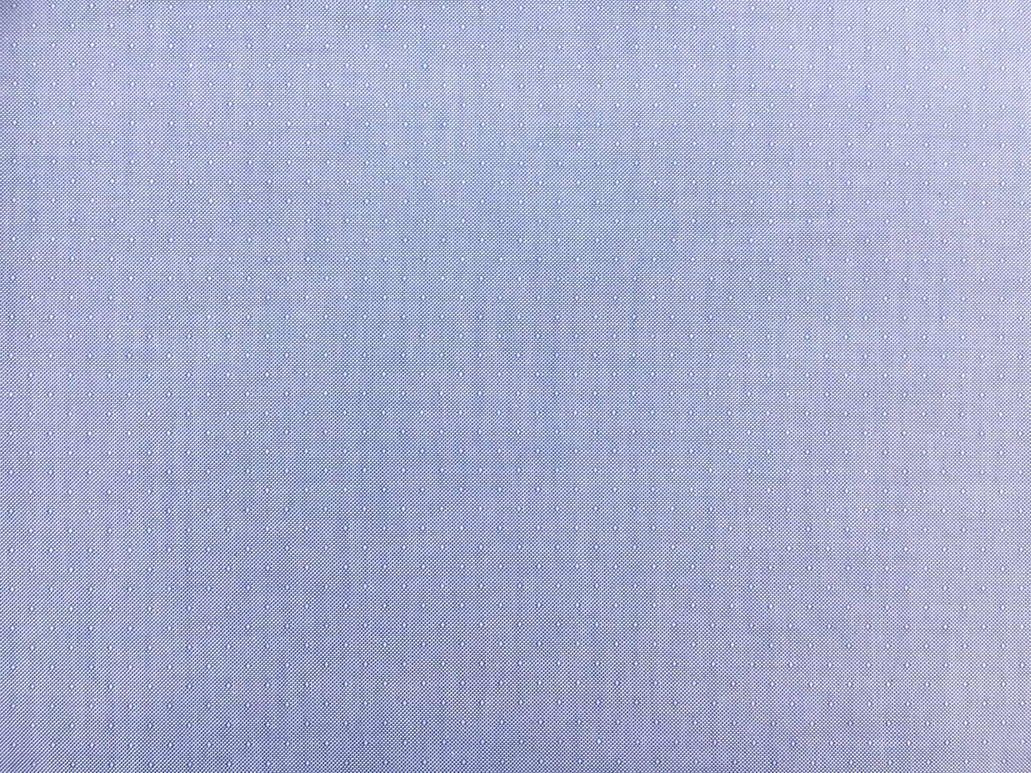 Cotton Oxford Dobby Shirting in Blue