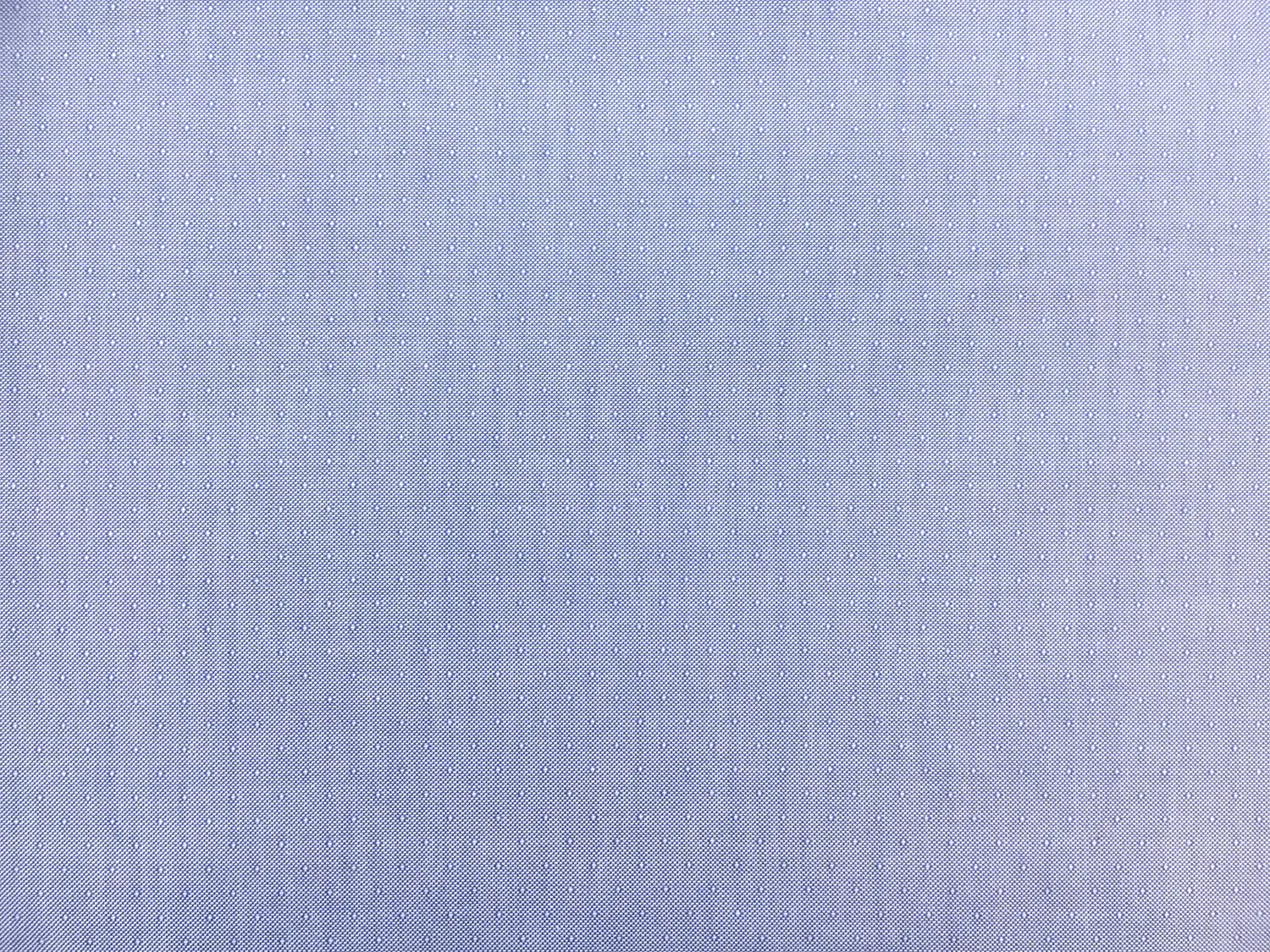 Cotton Oxford Dobby Shirting in Blue0