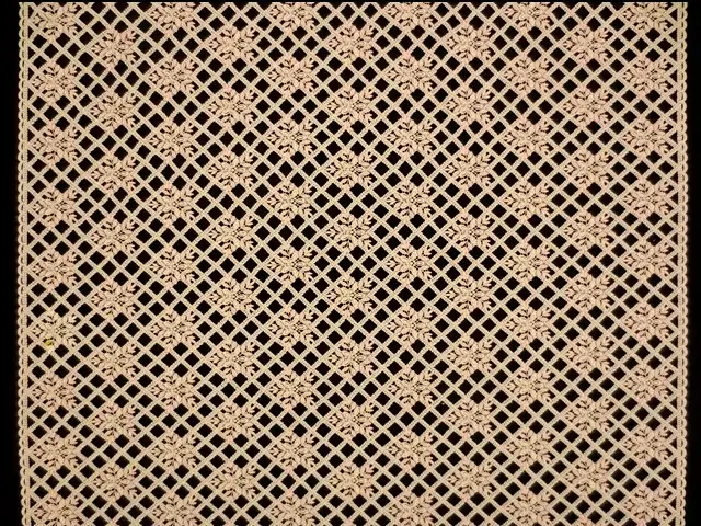 Guipure Lace3